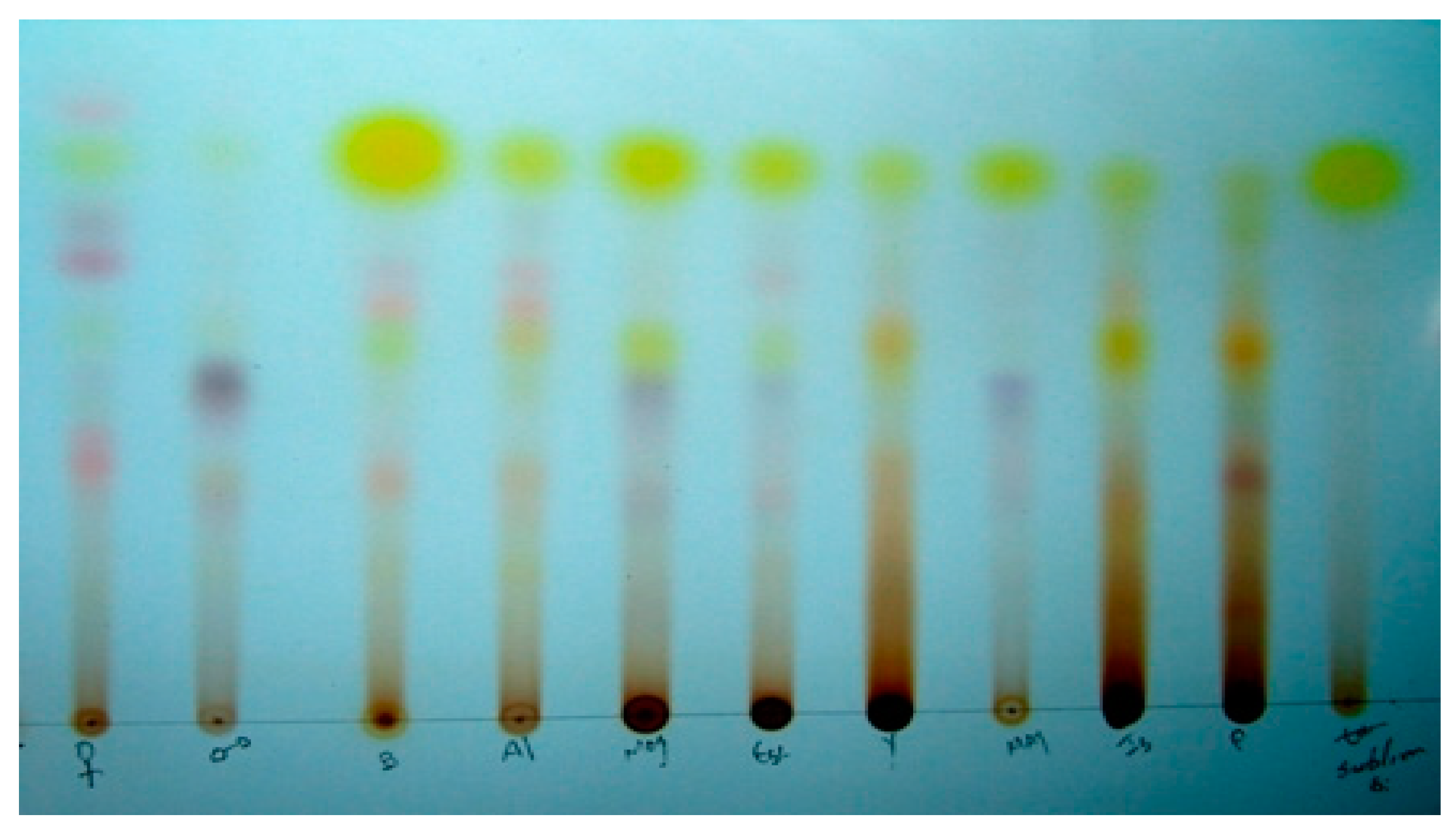 Proceedings 41 00073 g003