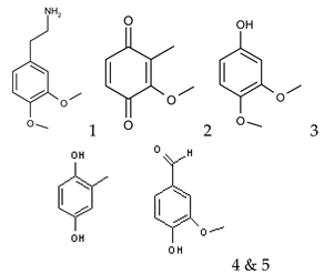 Proceedings 41 00073 i003