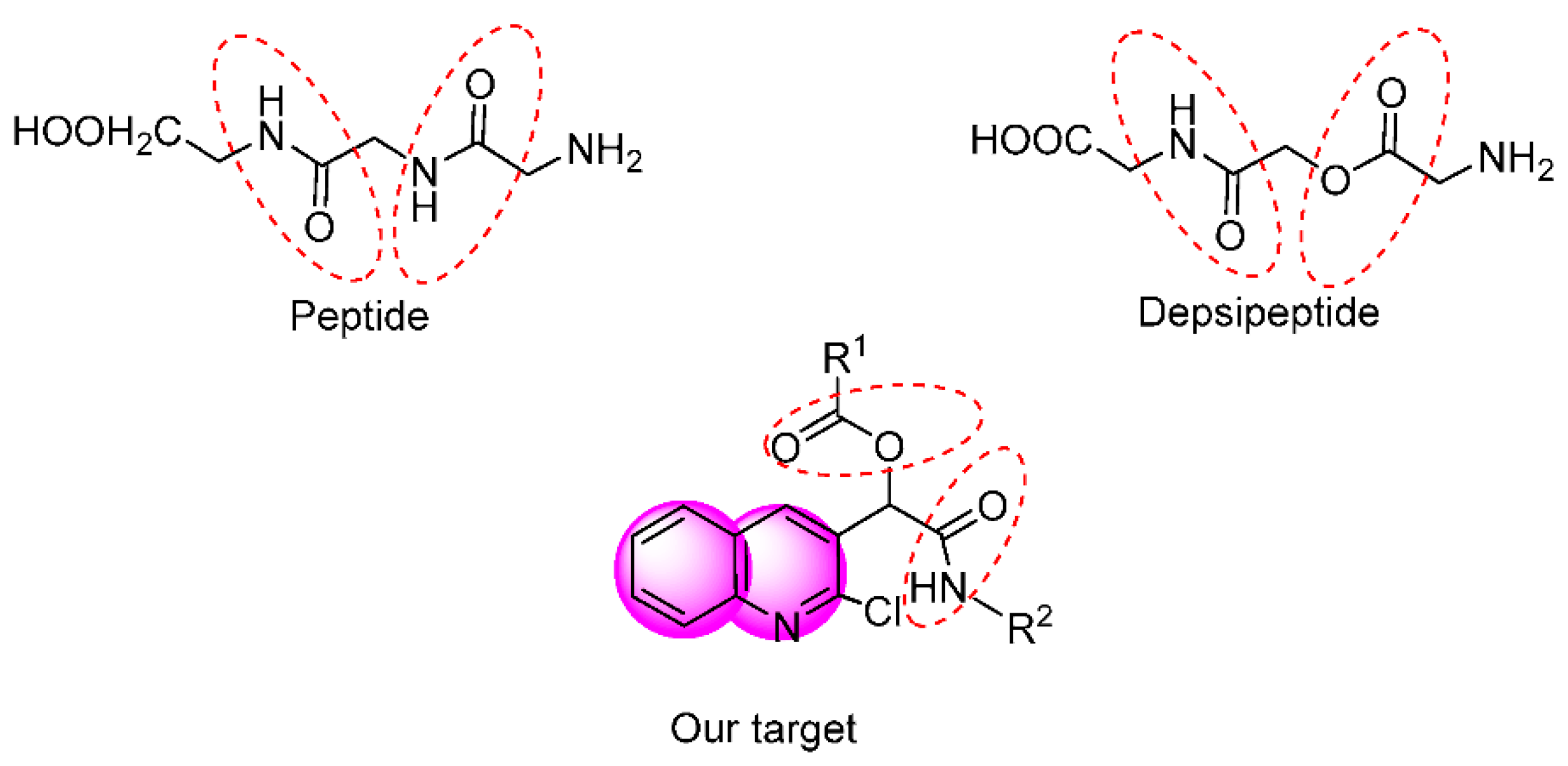 Proceedings 41 00076 g001
