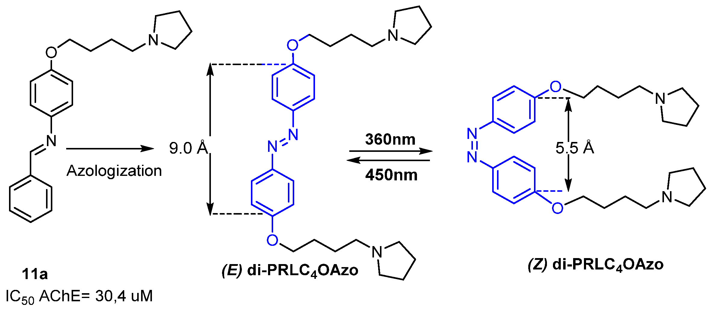 Proceedings 41 00080 g001