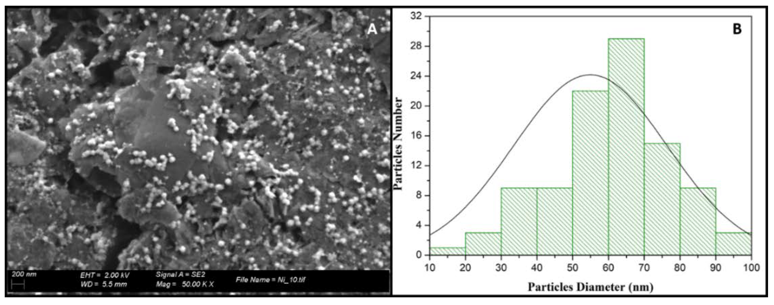 Proceedings 42 00005 g001
