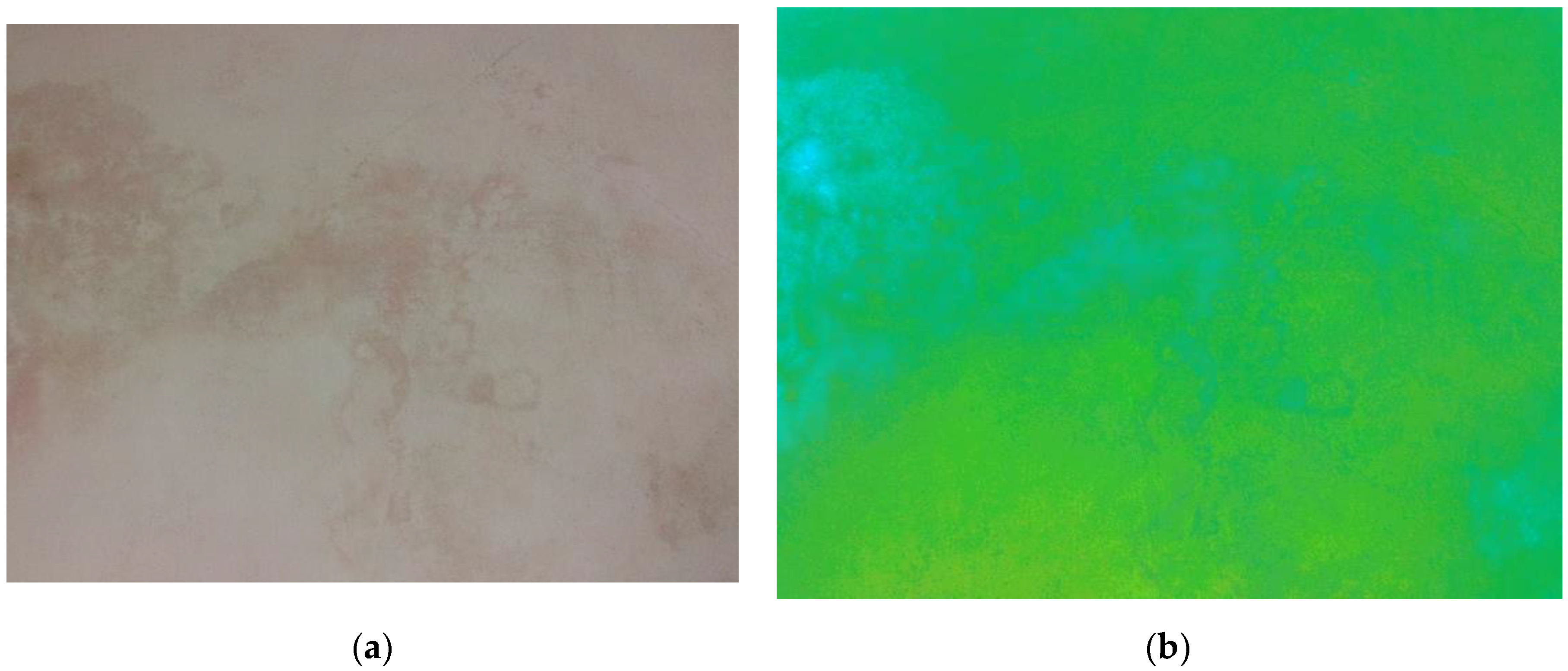 Proceedings 42 00007 g002 550