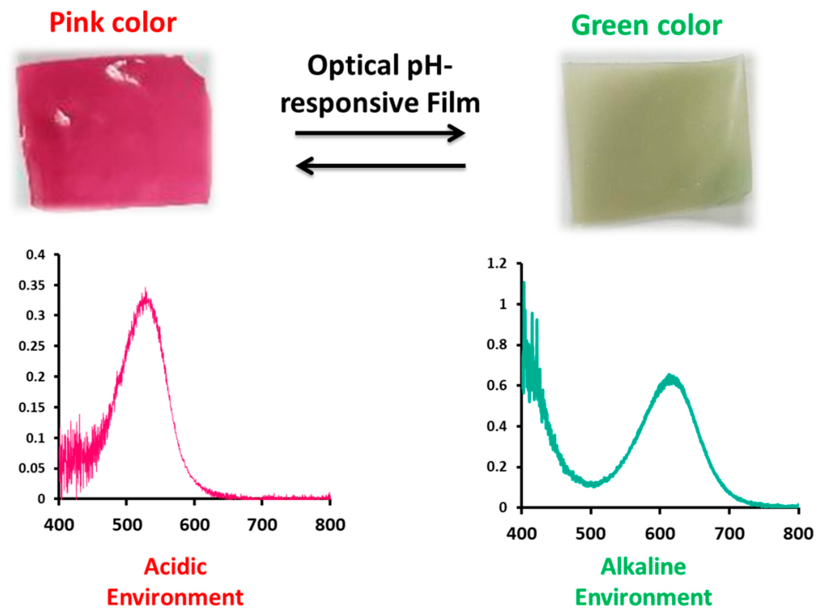 Proceedings 42 00028 g002