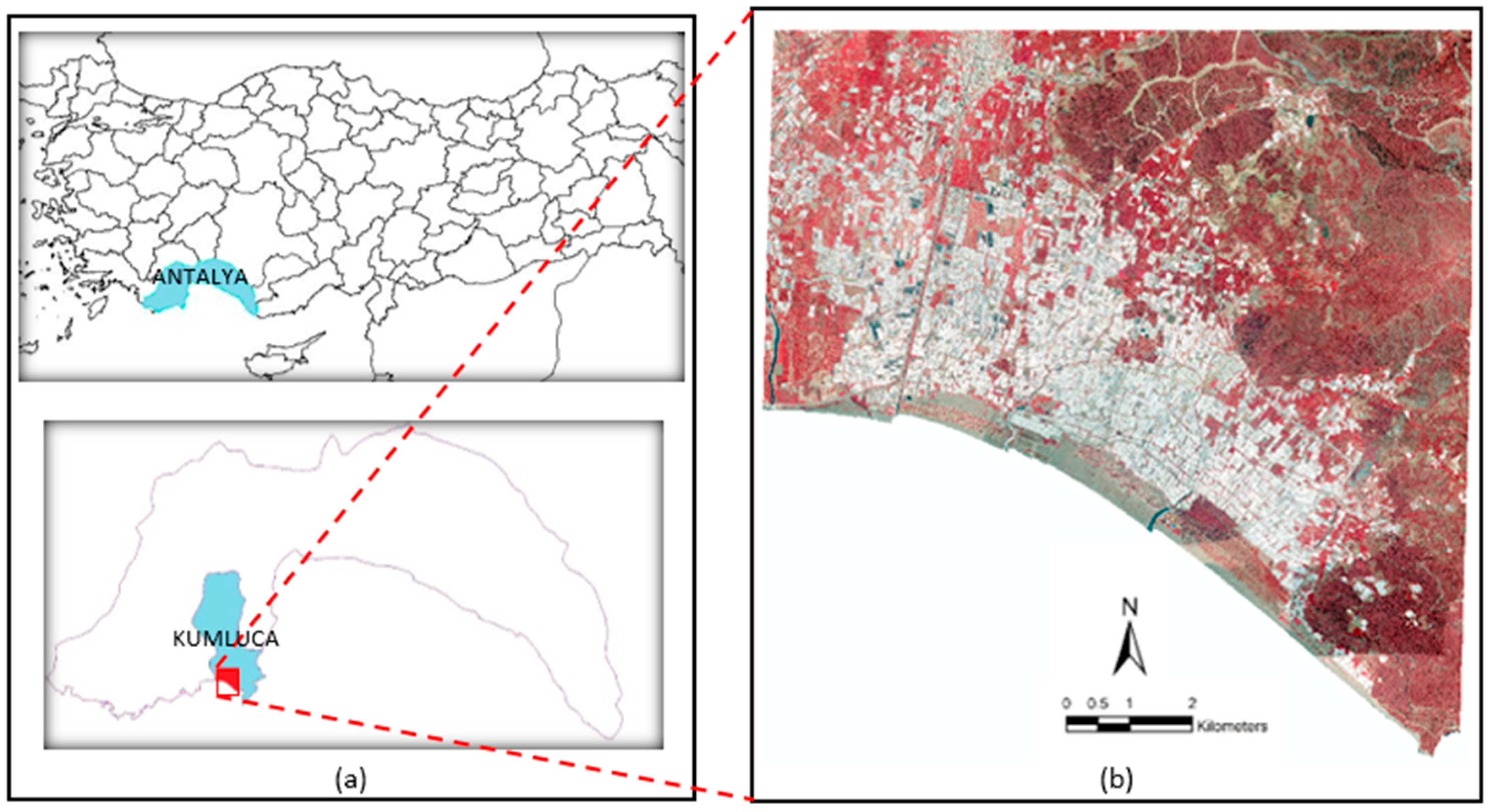 Proceedings 42 00029 g001