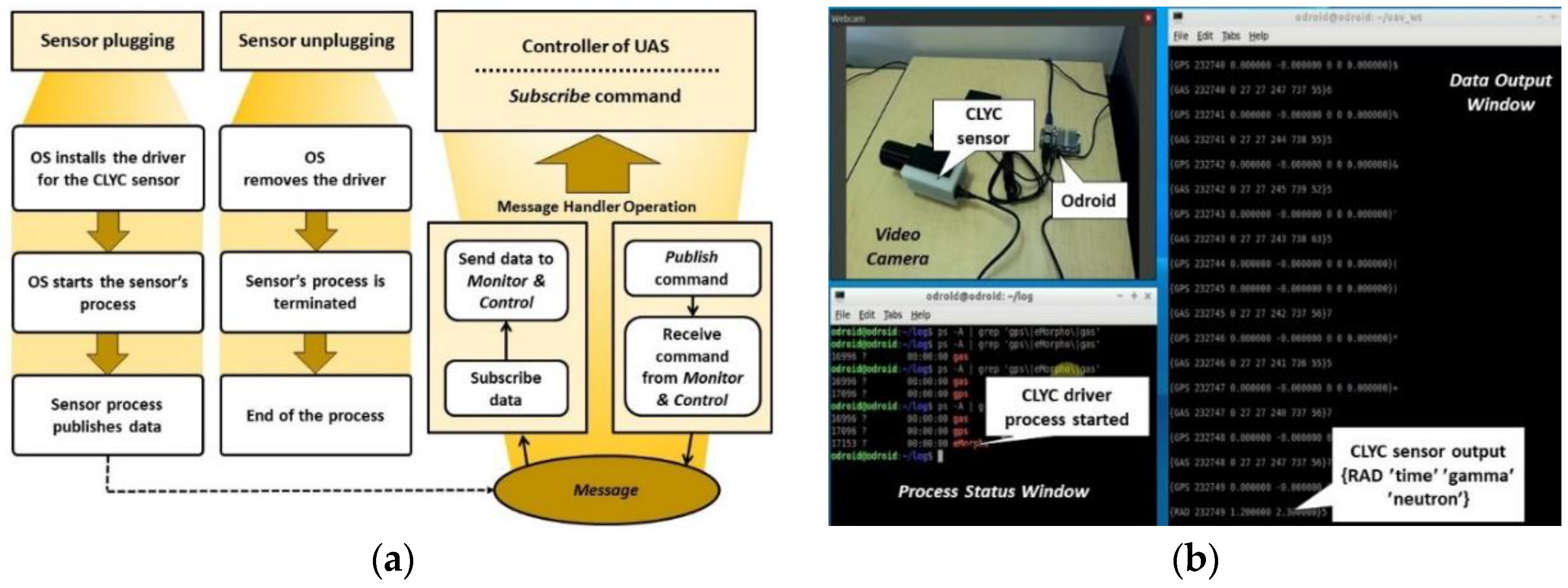 Proceedings 42 00037 g004 550