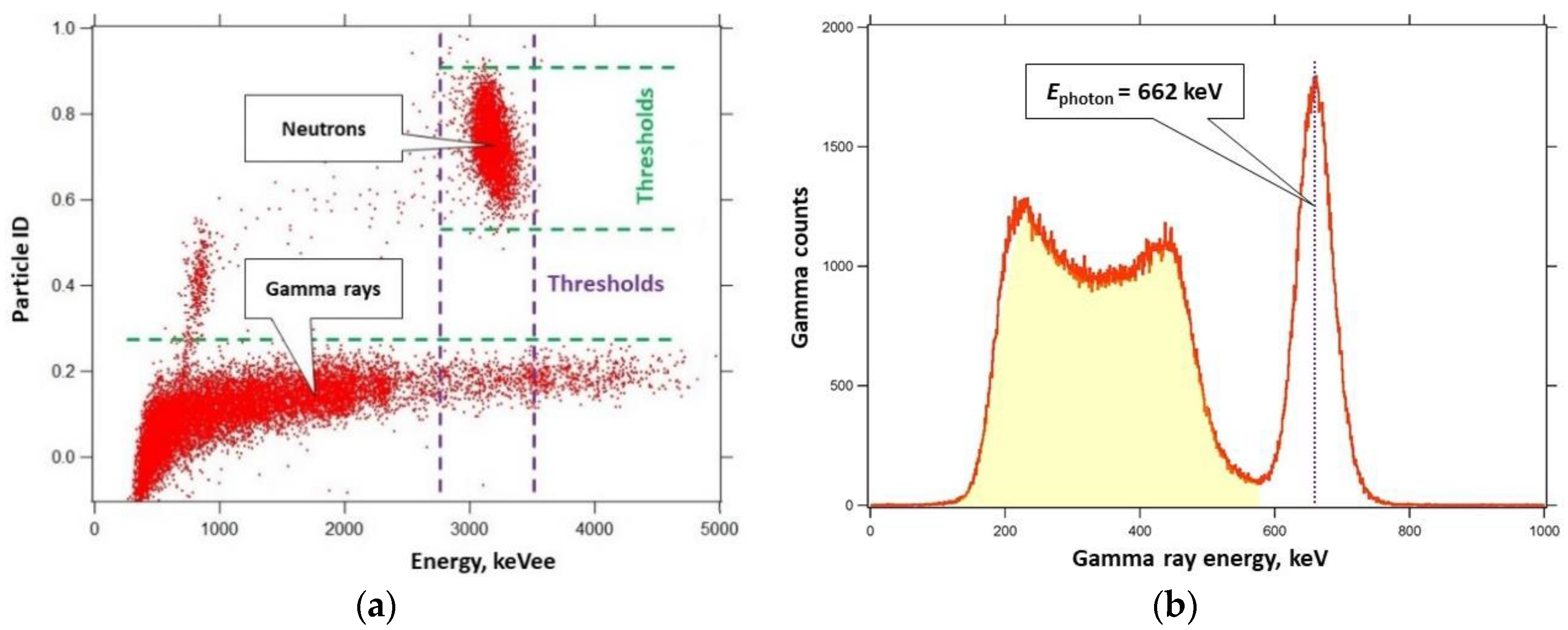 Proceedings 42 00037 g005 550