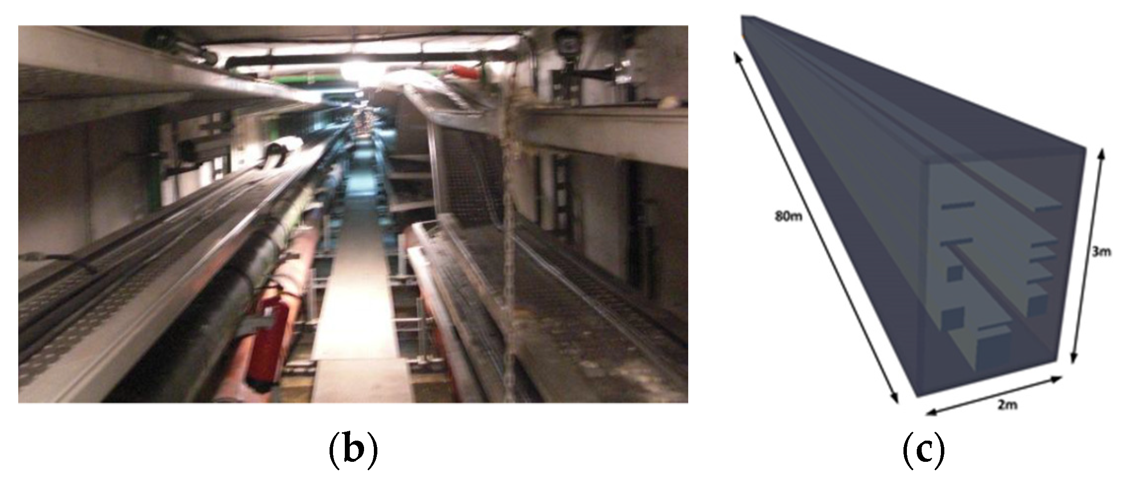 Proceedings 42 00053 g001b 550