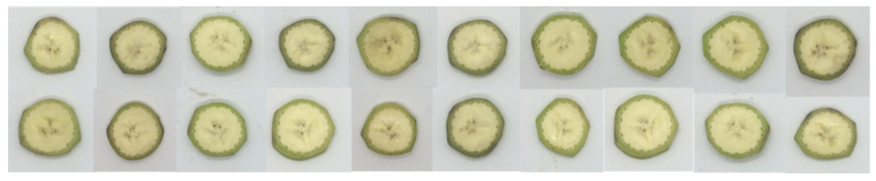 Proceedings 42 00057 g002 550