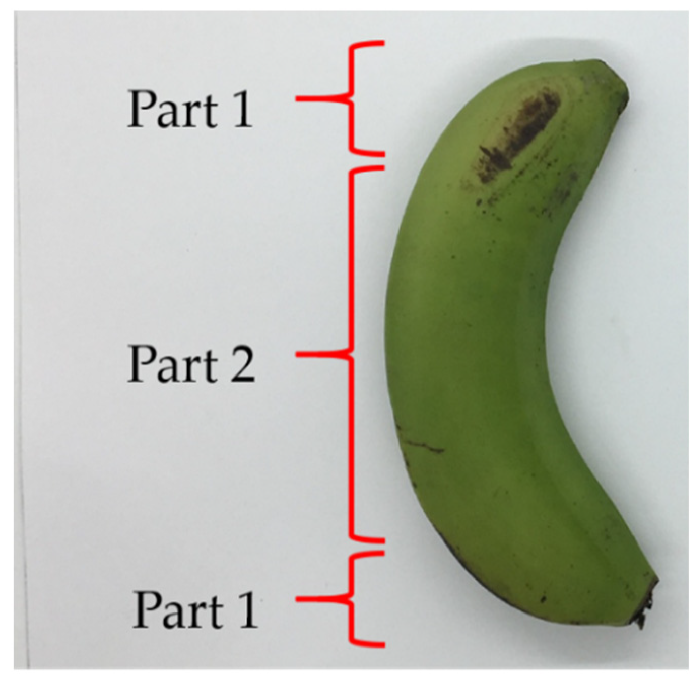 Proceedings 42 00057 g003 550