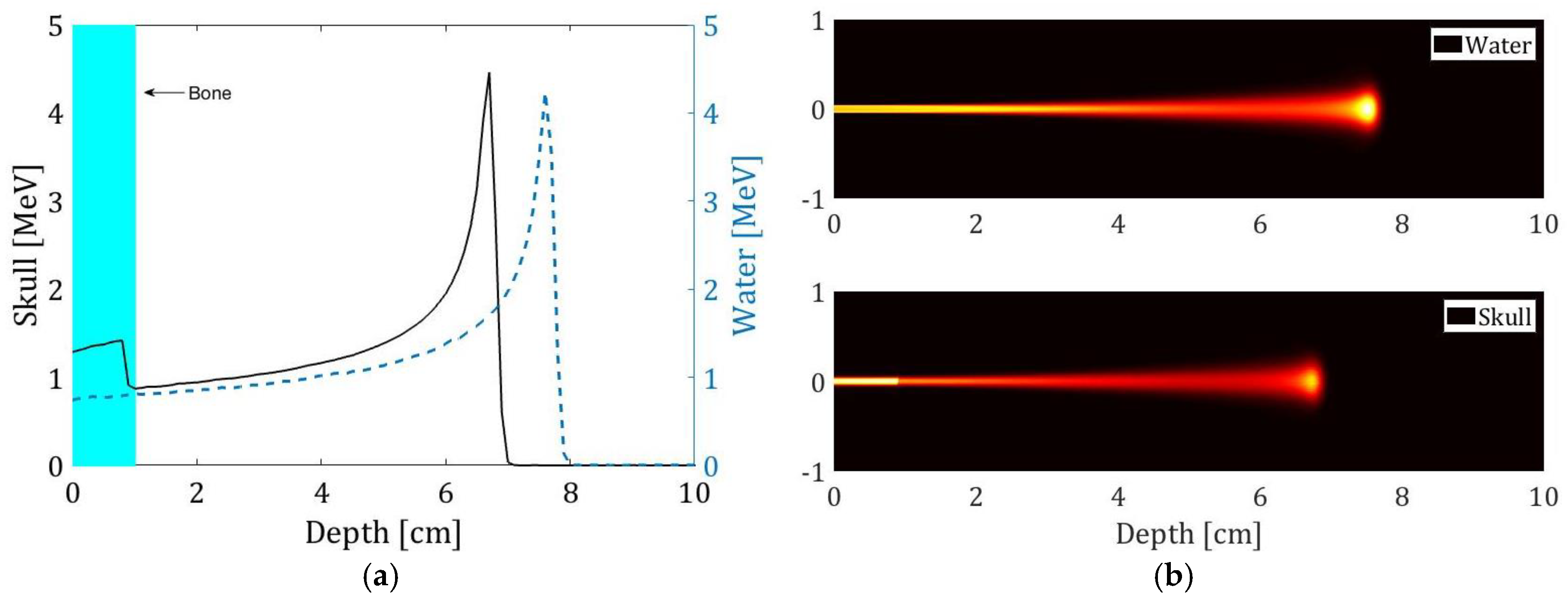 Proceedings 42 00071 g002