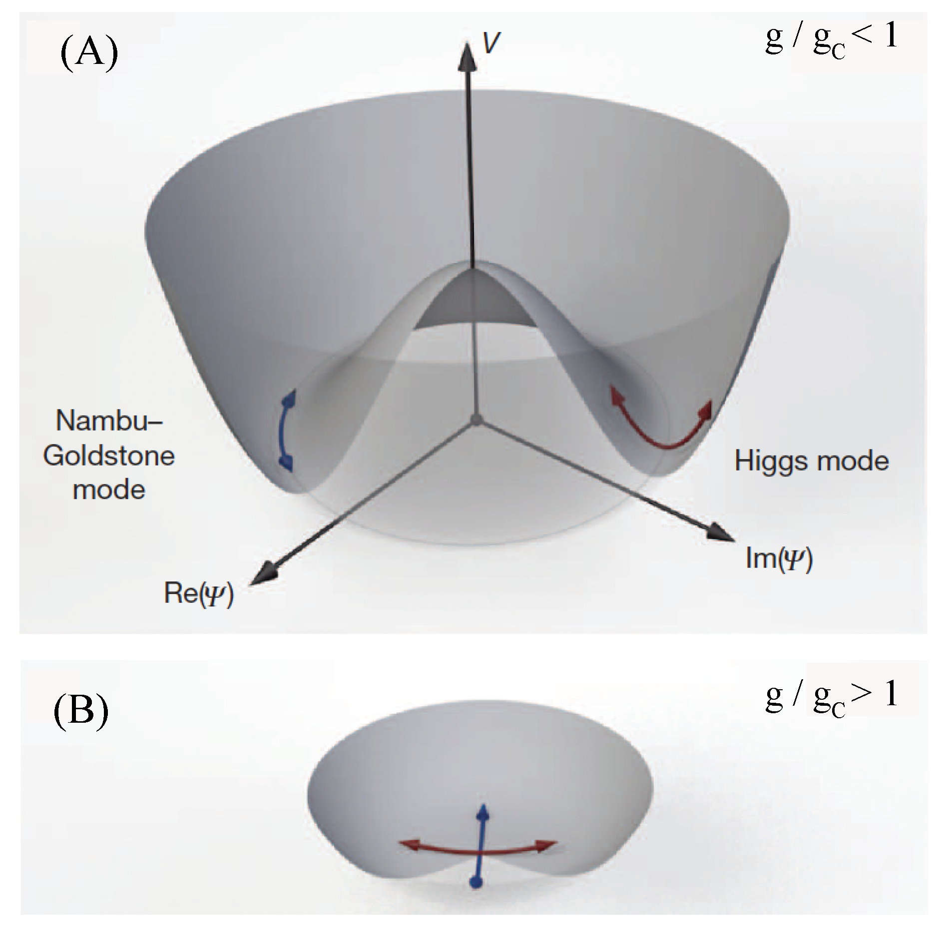 Proceedings 46 00023 g001 550