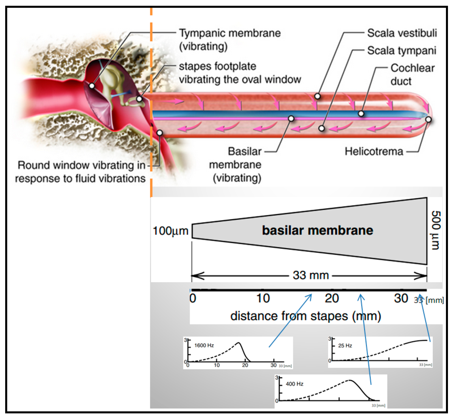 Proceedings 47 00016 g002 550