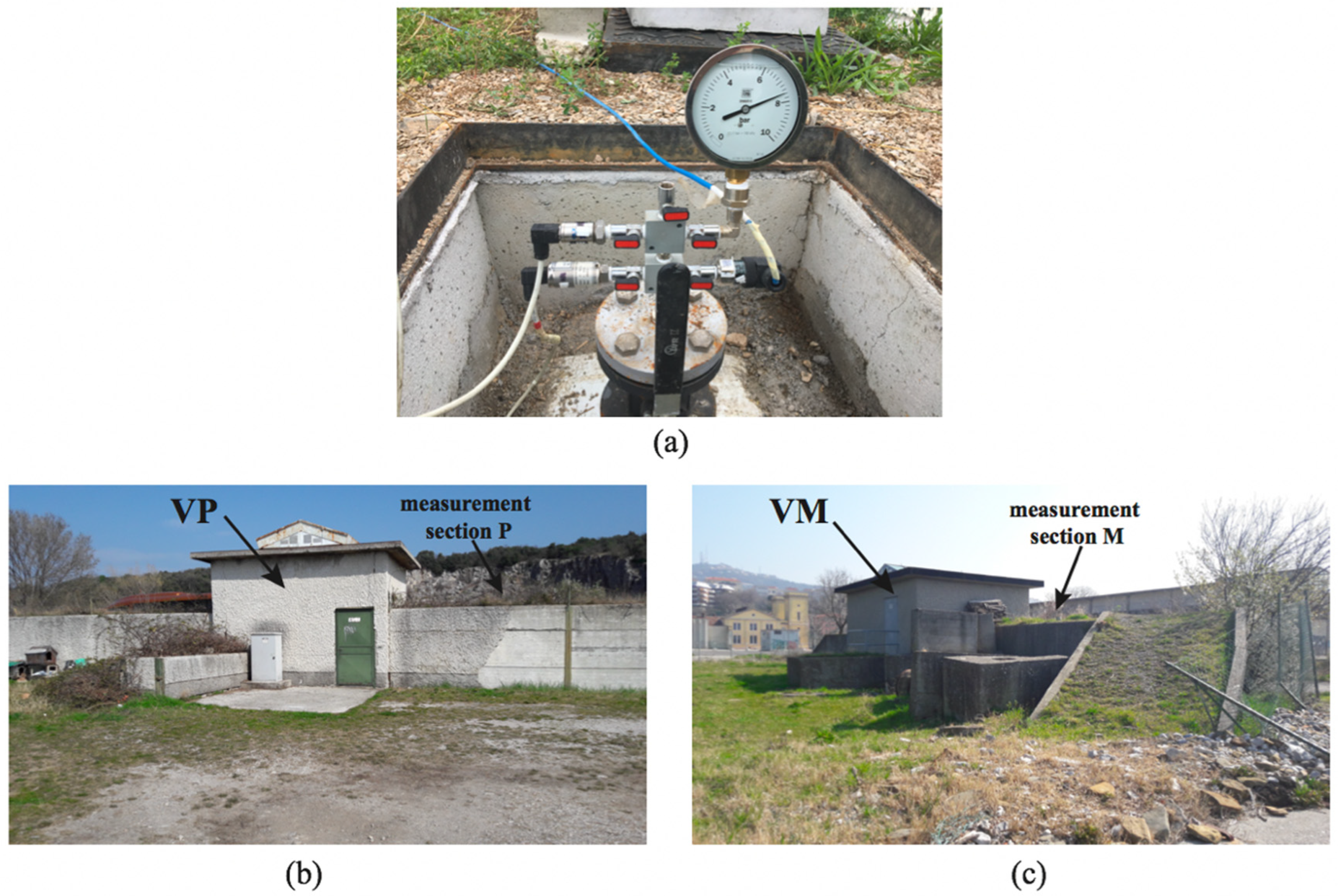 Proceedings 48 00002 g002 550