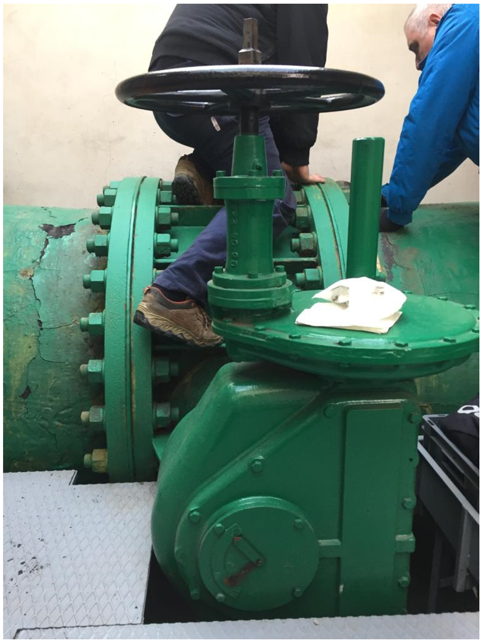 Proceedings 48 00002 g004 550