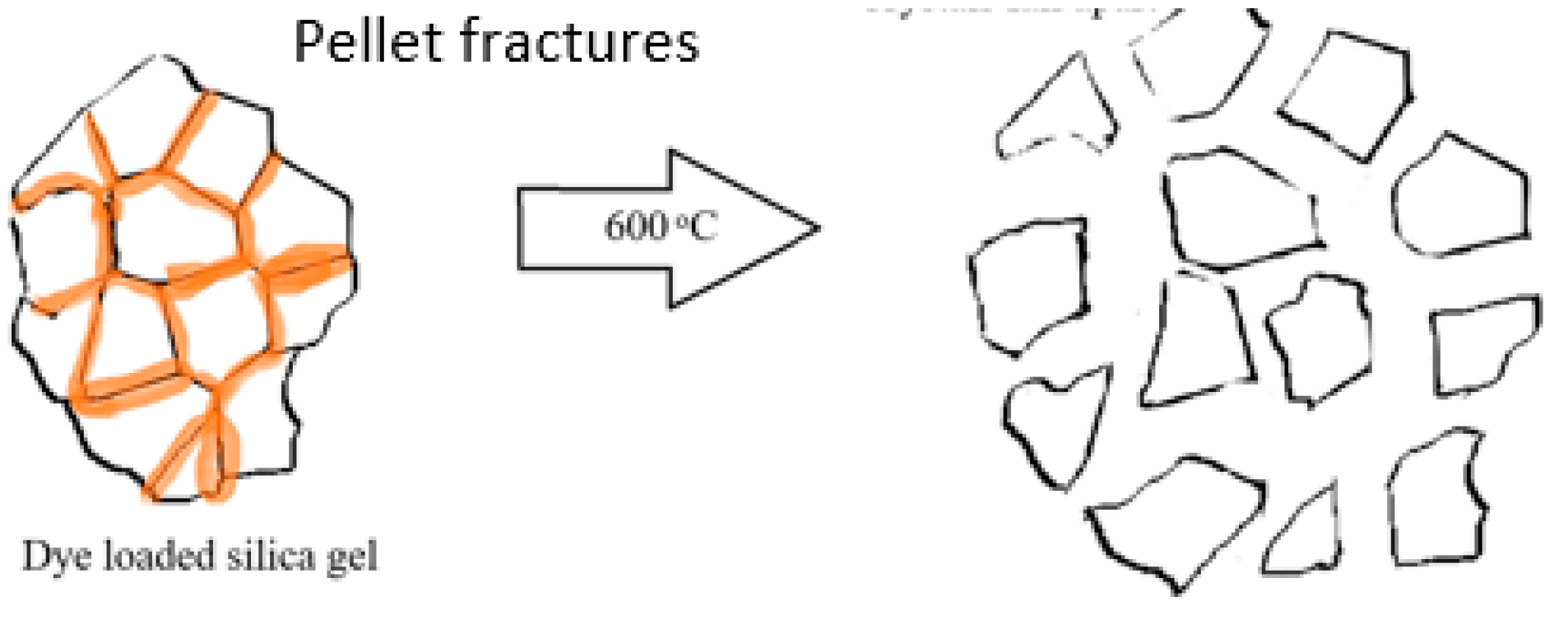 Proceedings 48 00010 g001 550