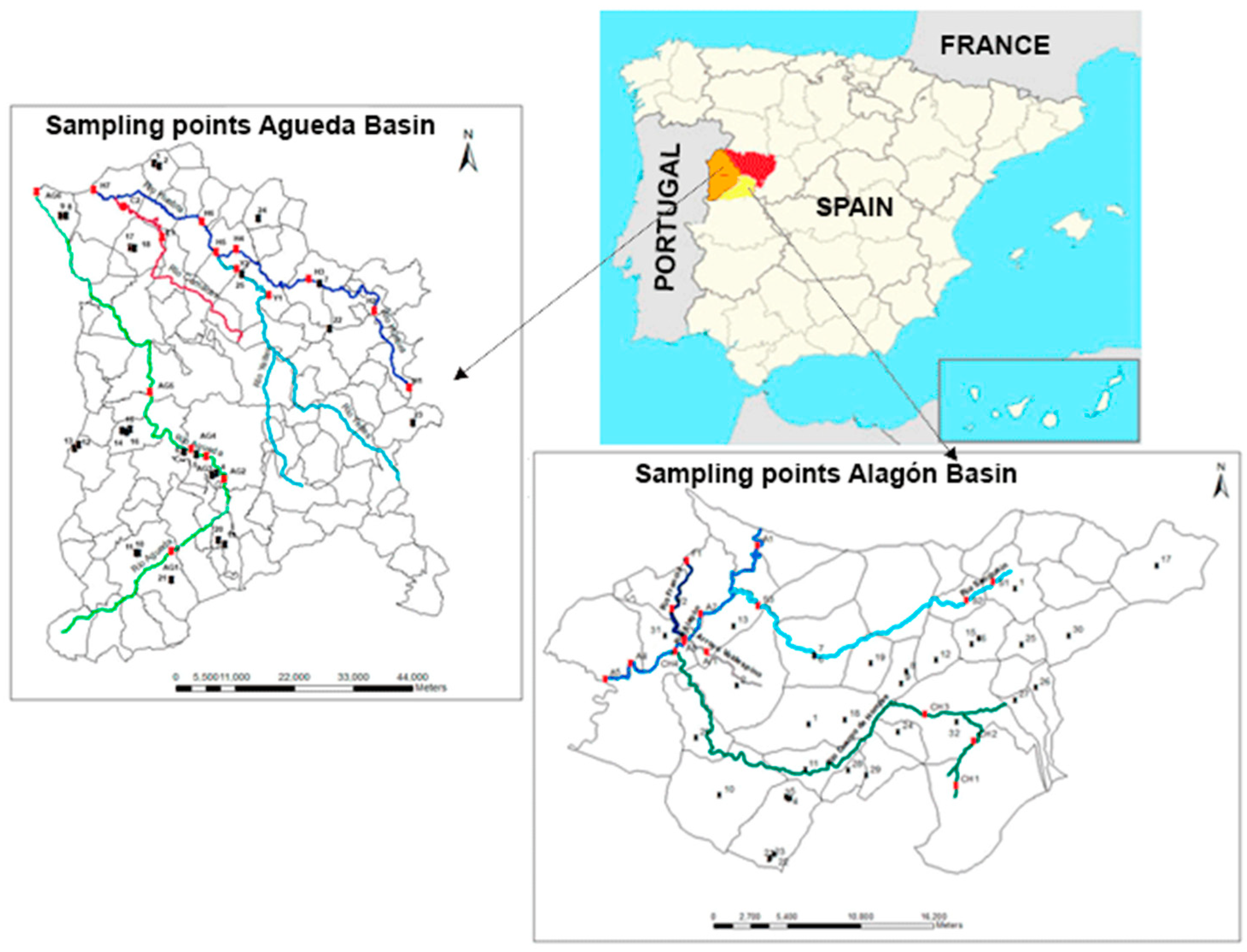 Proceedings 48 00016 g001