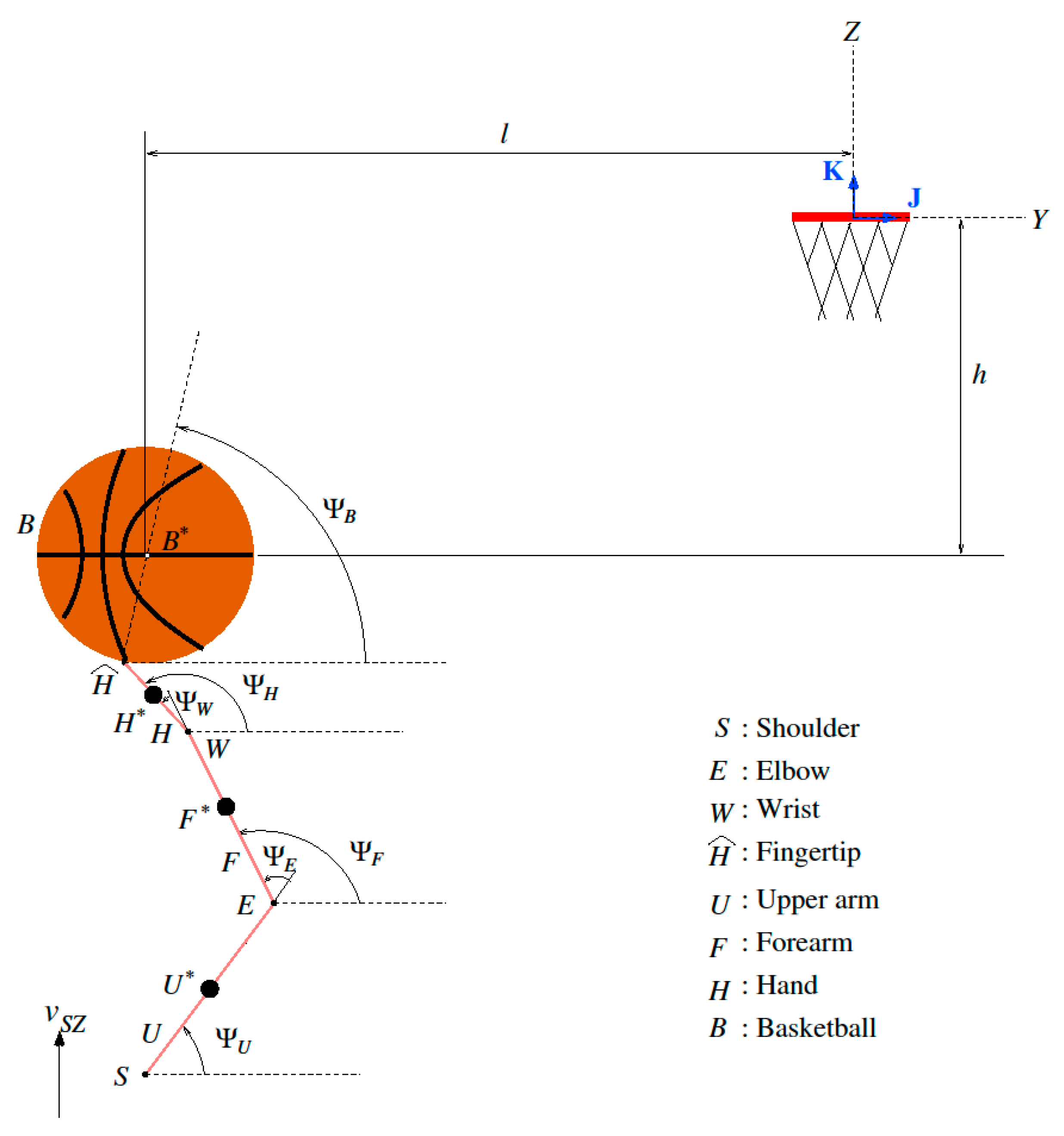 elbow nba court