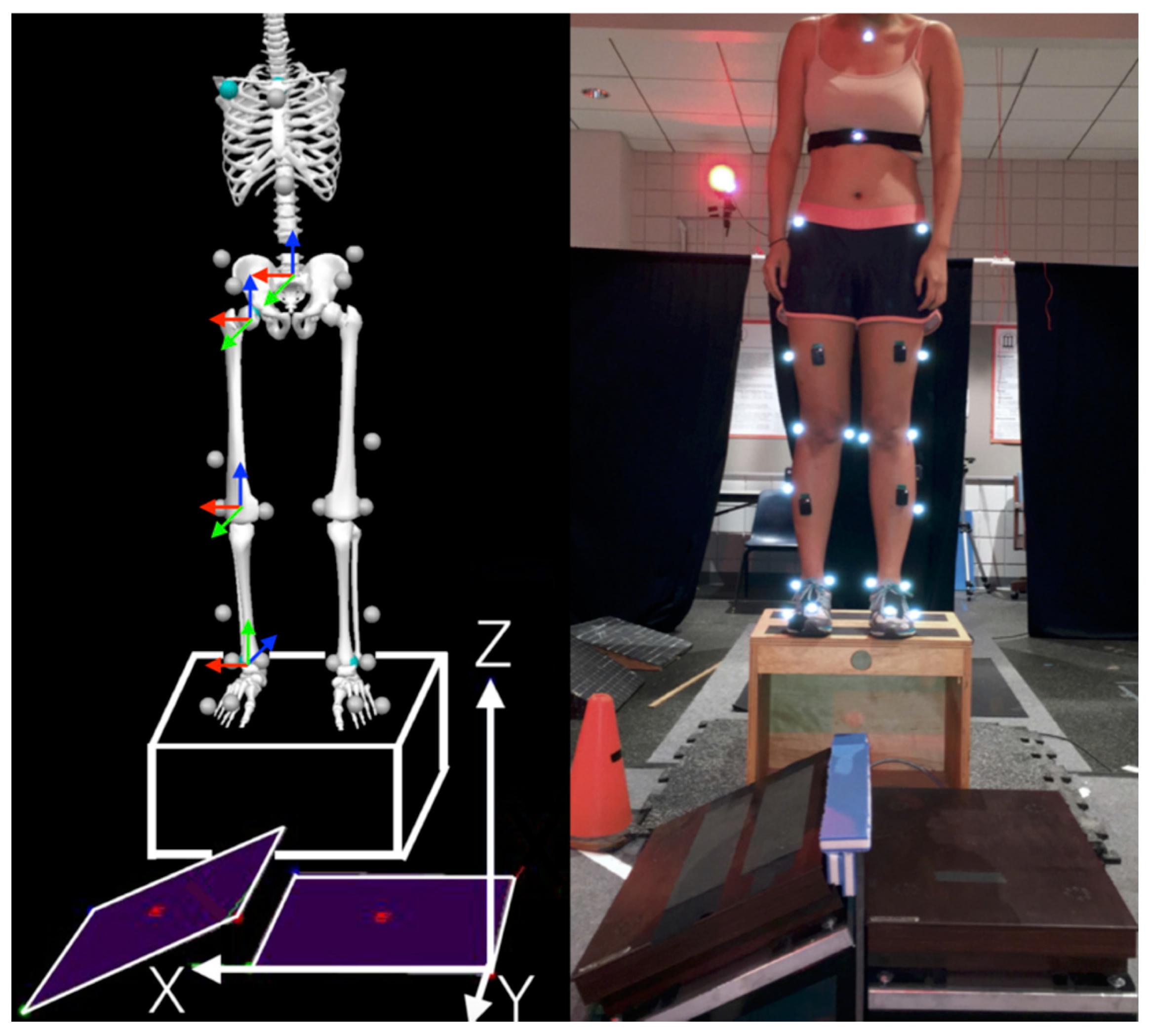 Proceedings 49 00005 g001
