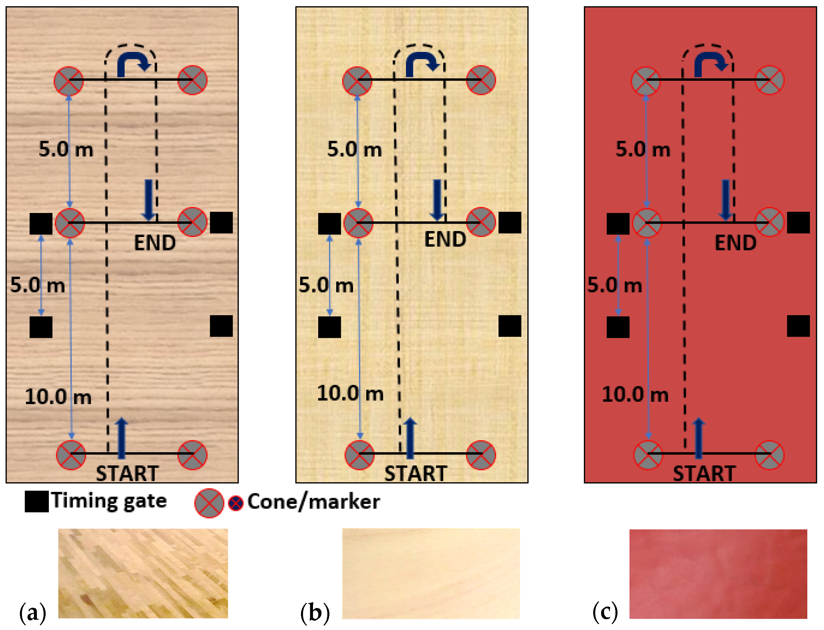 Proceedings 49 00017 g001 Proceedings 49 00017 g001
