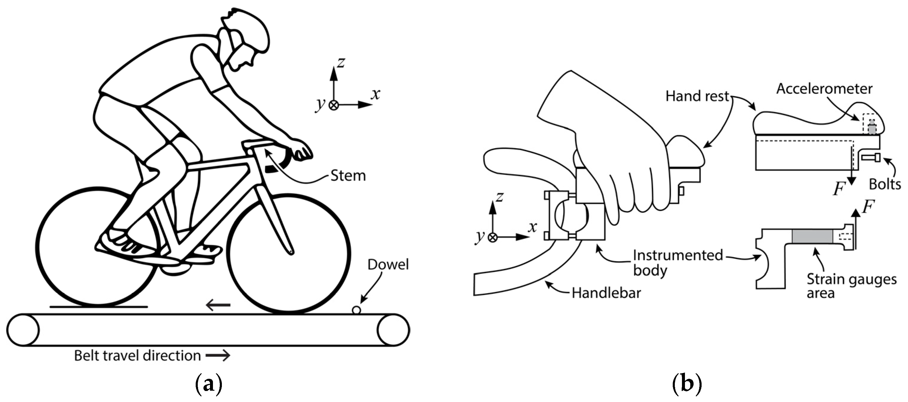 Proceedings 49 00020 g002