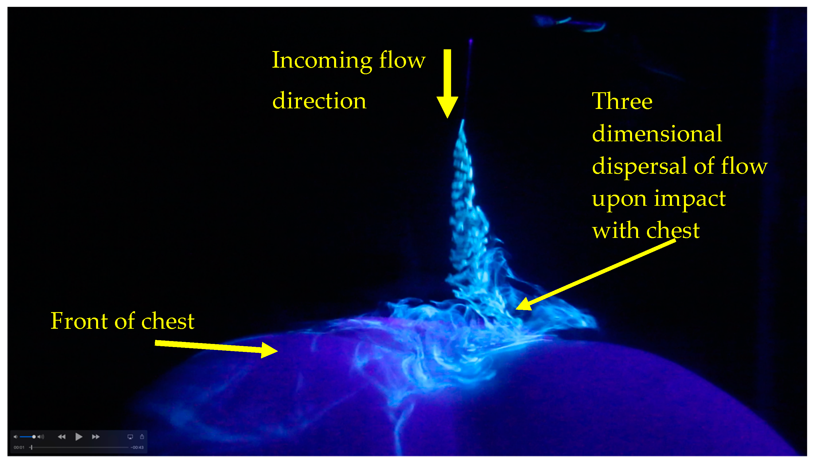 Proceedings 49 00021 g005 Proceedings 49 00021 g005
