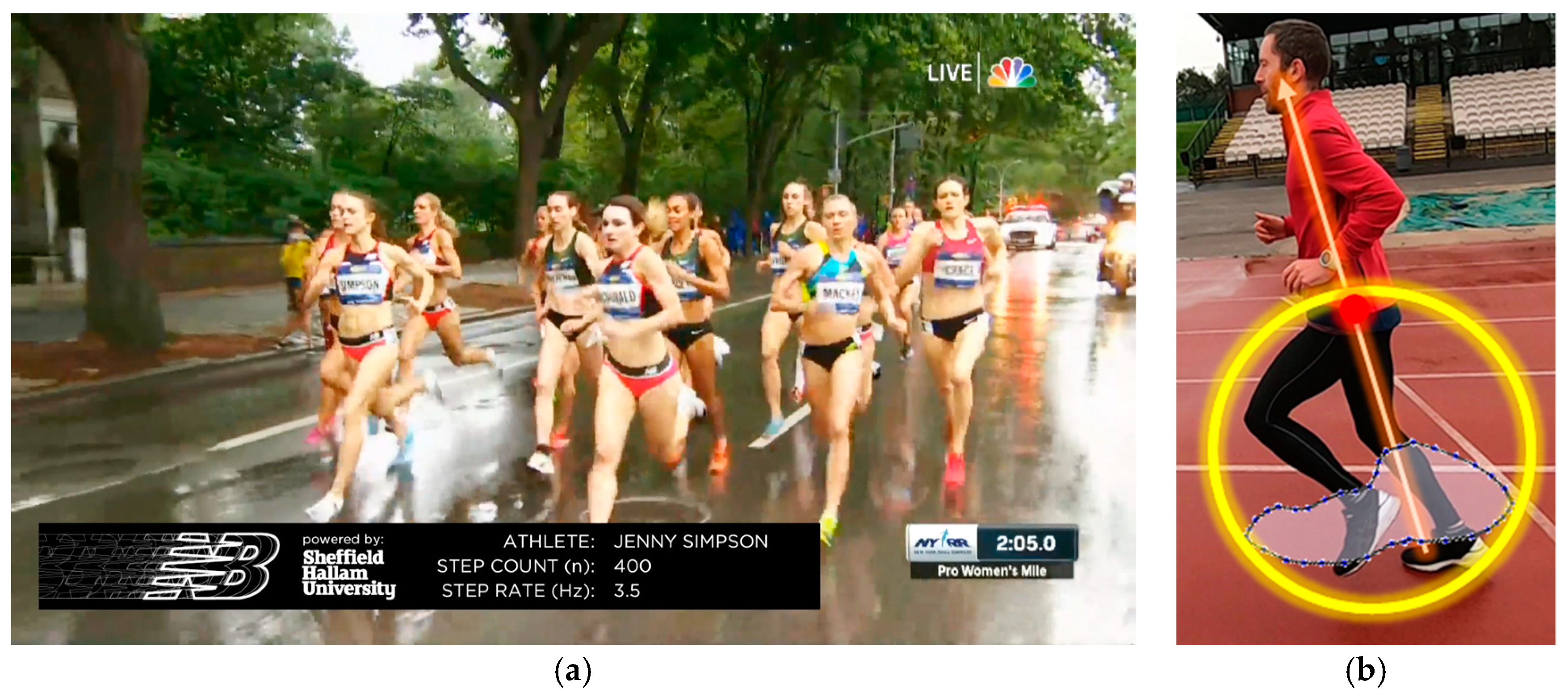 Proceedings 49 00026 g006