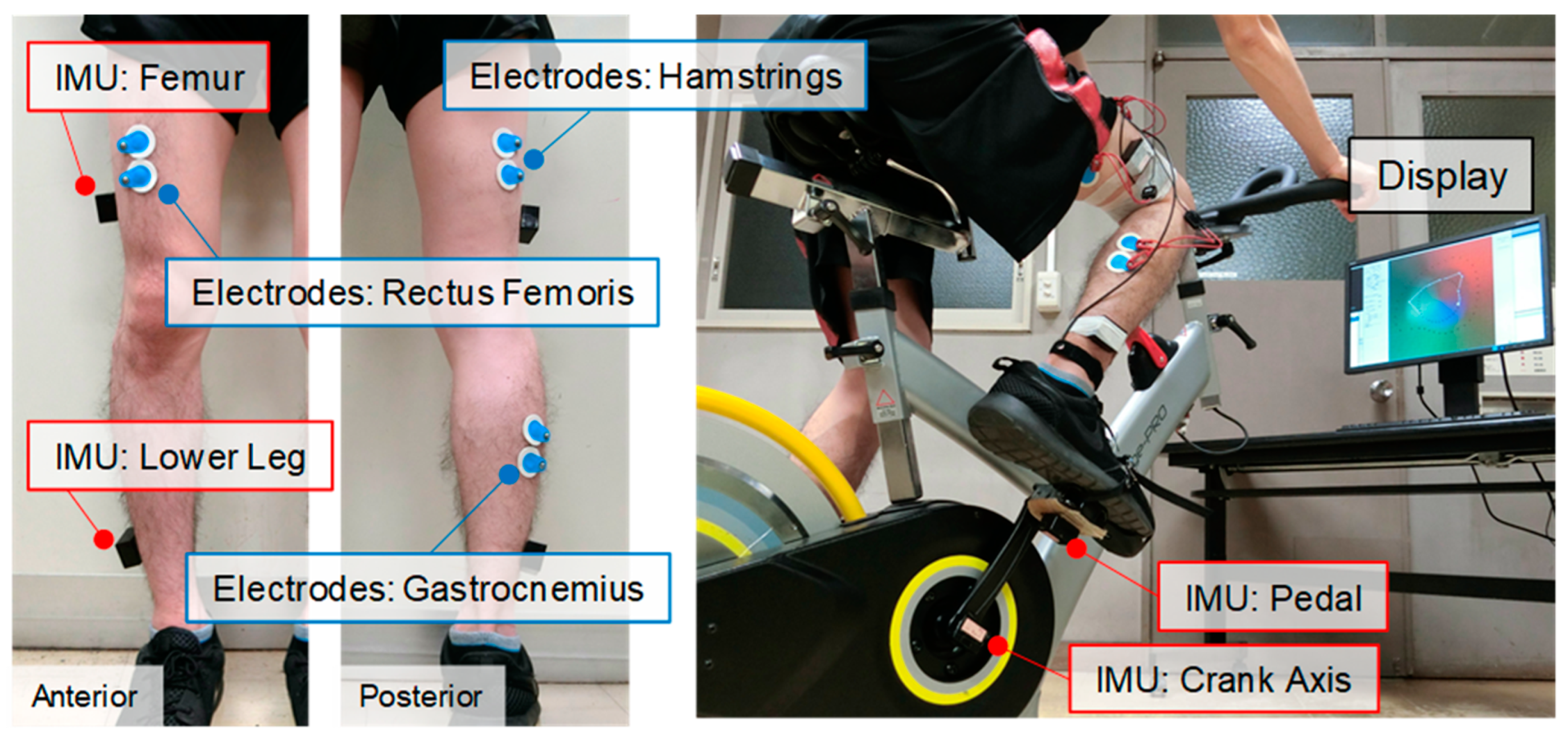Proceedings 49 00040 g002 550