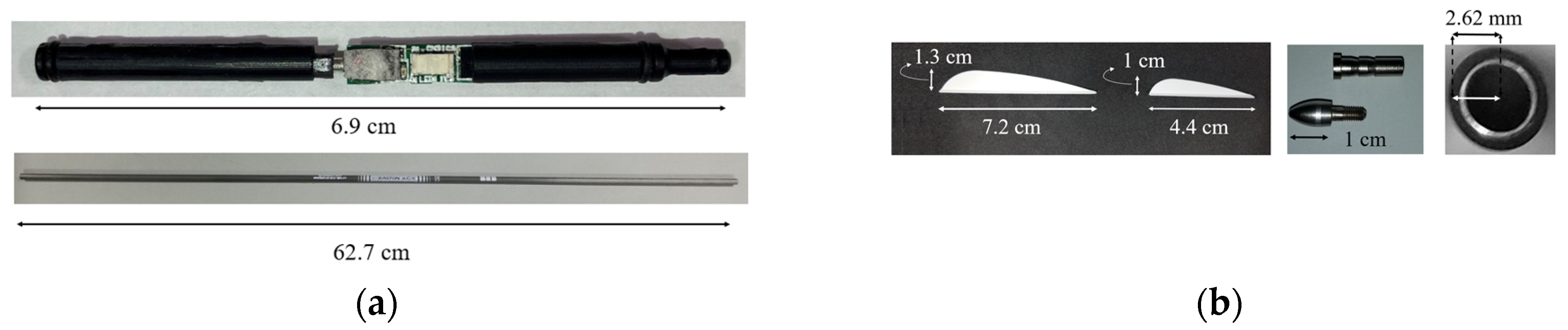 Proceedings 49 00056 g001