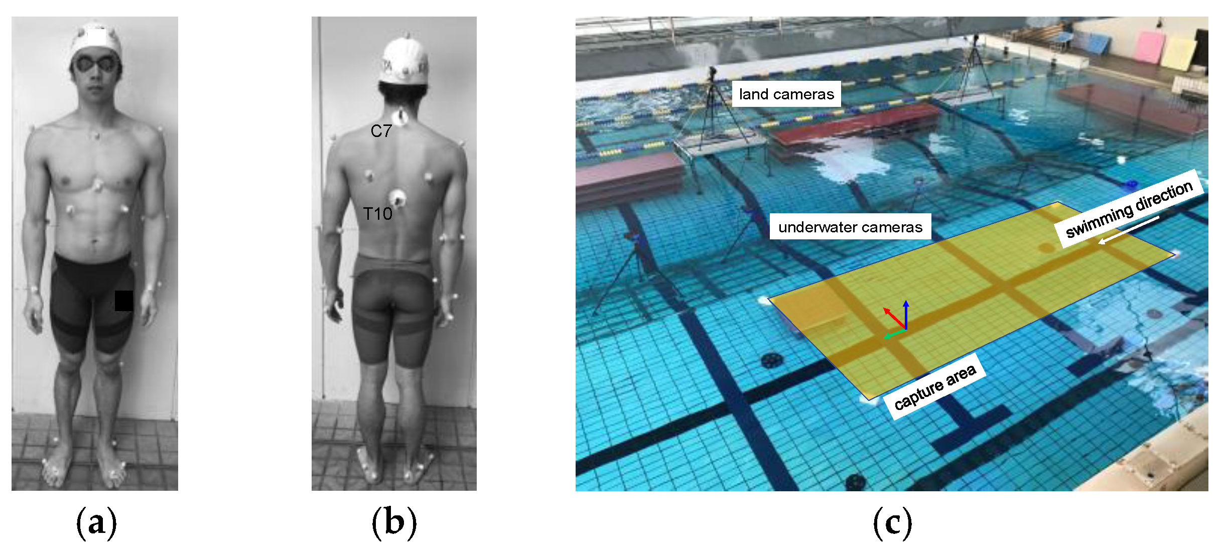 Proceedings Free Full-Text Association between Changes in Swimming Velocity, Vertical Center of Mass Position, and Projected Frontal Area during Maximal 200-m Front Crawl