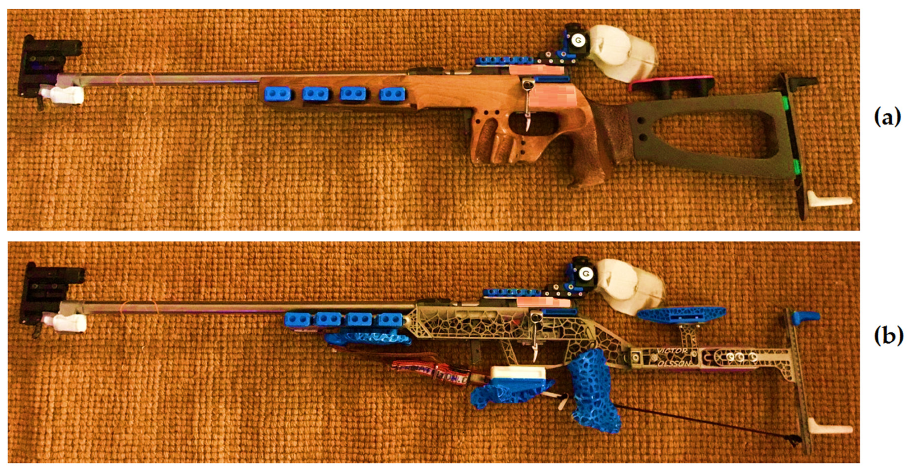 Proceedings 49 00062 g001