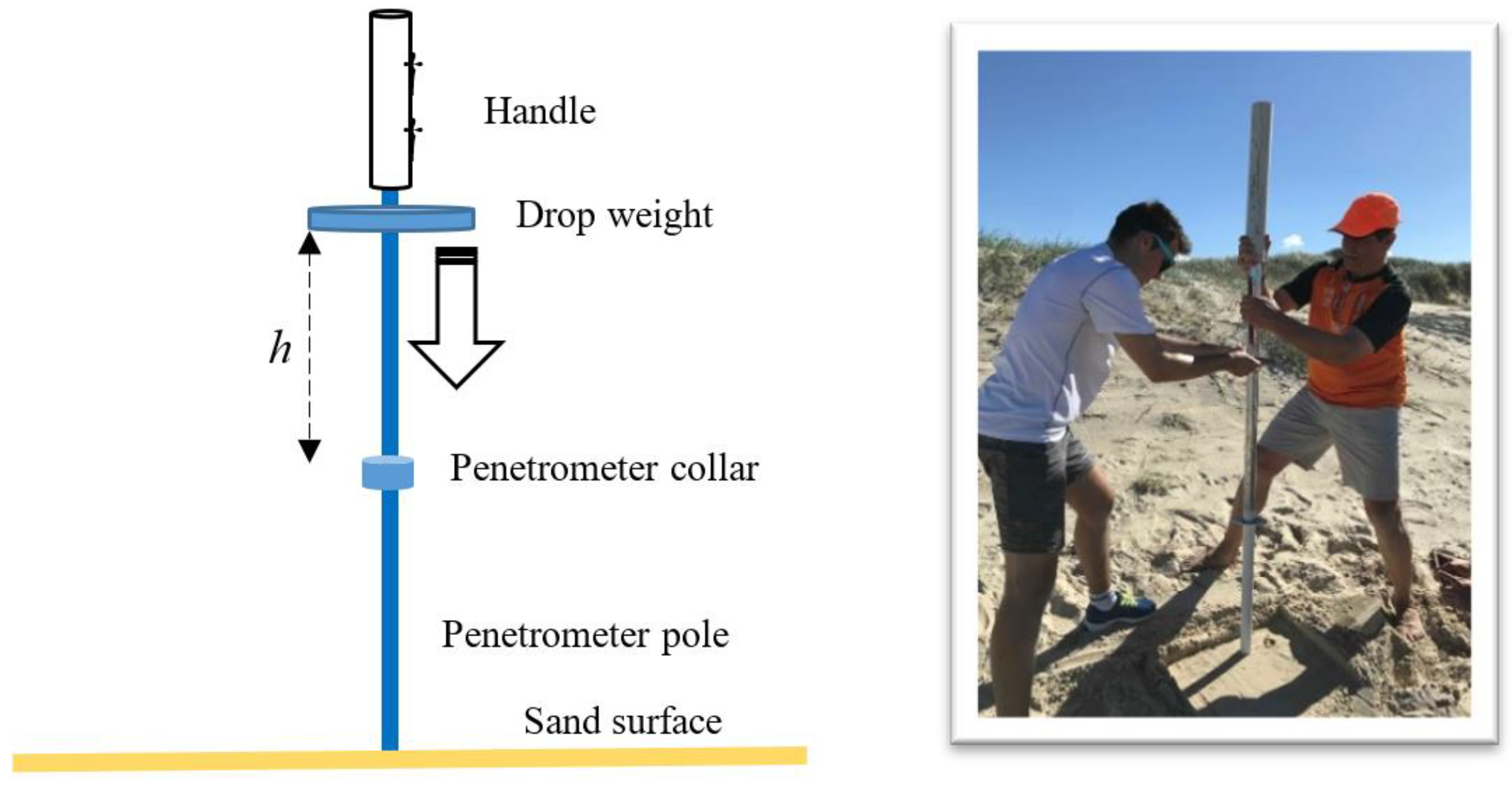 Proceedings 49 00064 g001