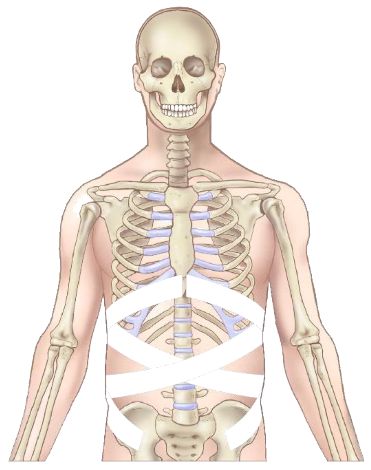 Proceedings 49 00067 g002