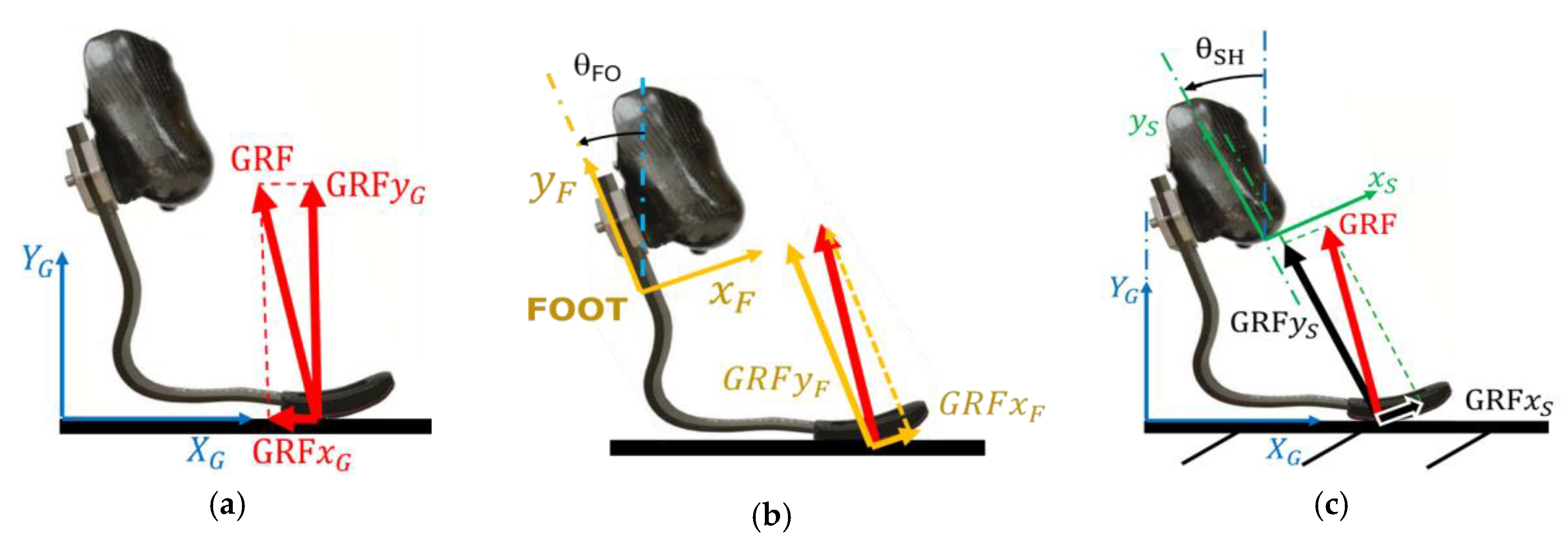 Proceedings 49 00074 g001 550