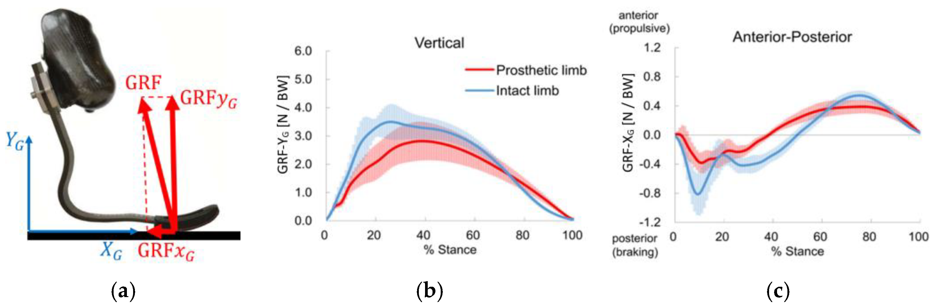 Proceedings 49 00075 g002a