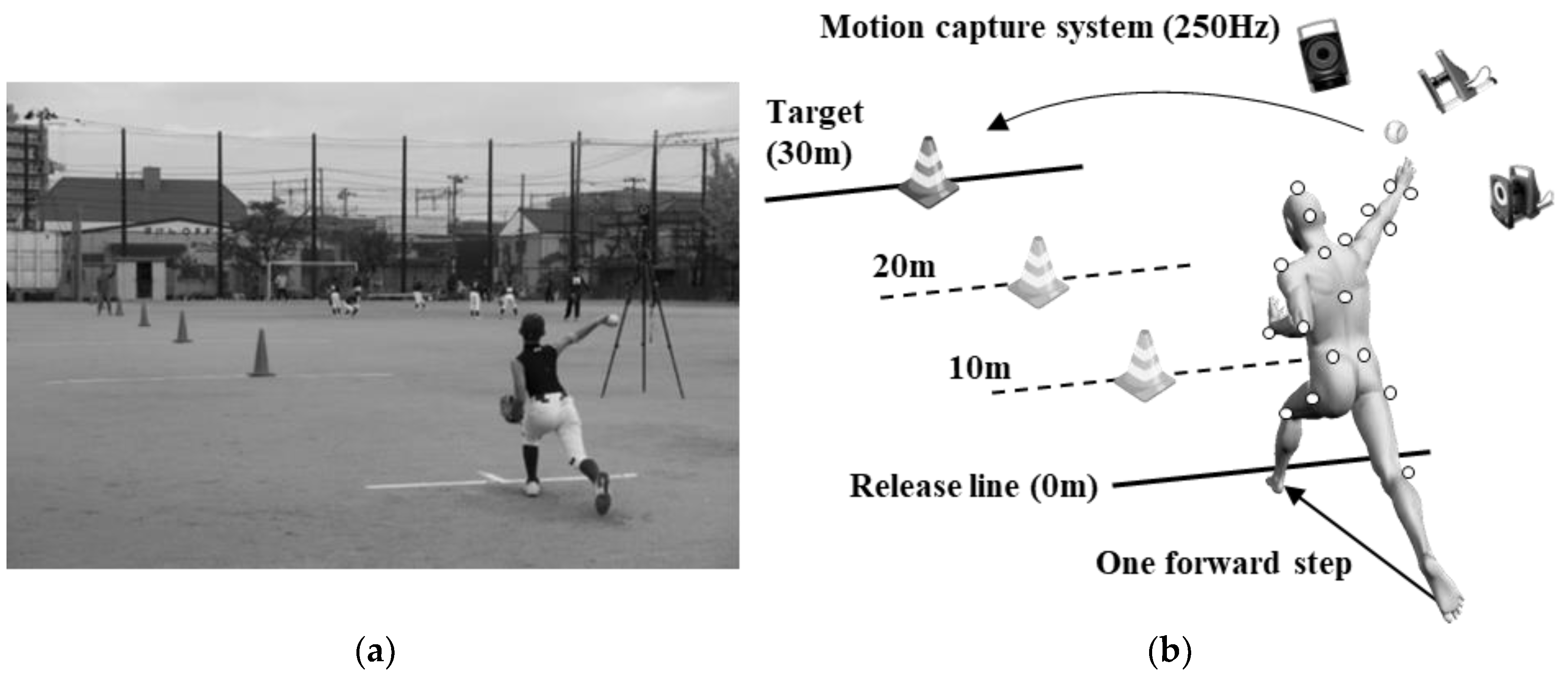 Proceedings 49 00118 g001 550