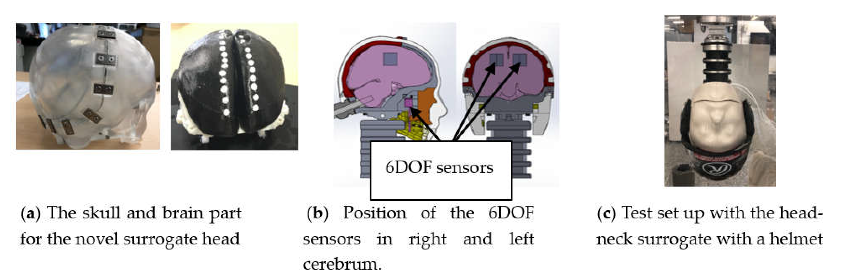 Proceedings 49 00149 g001 550