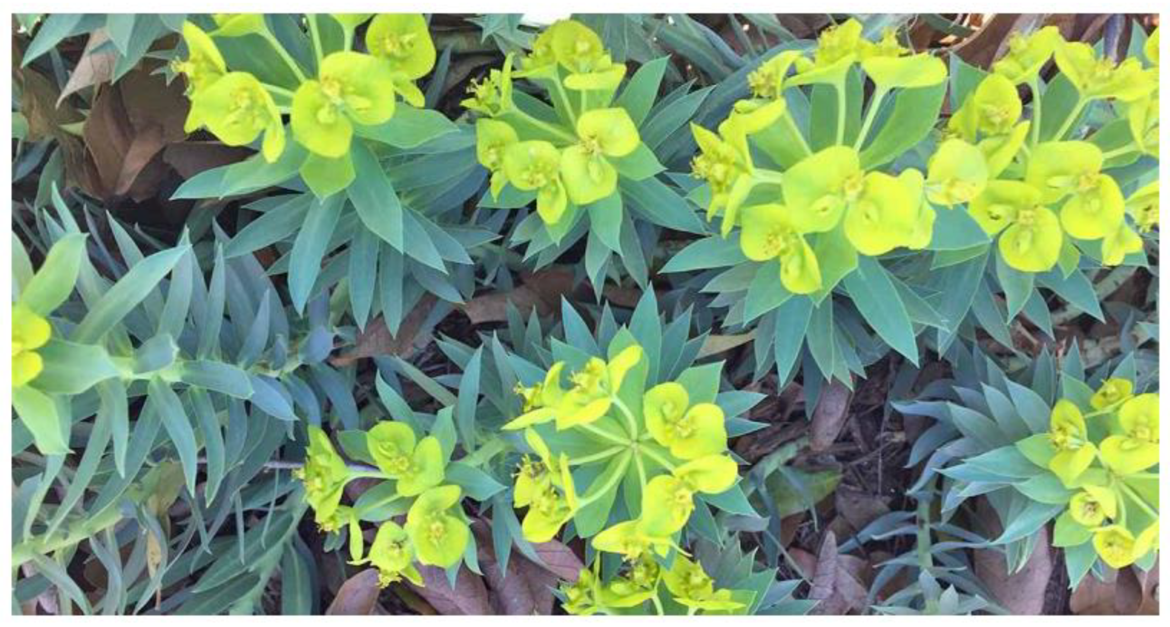 Proceedings 52 00002 g001