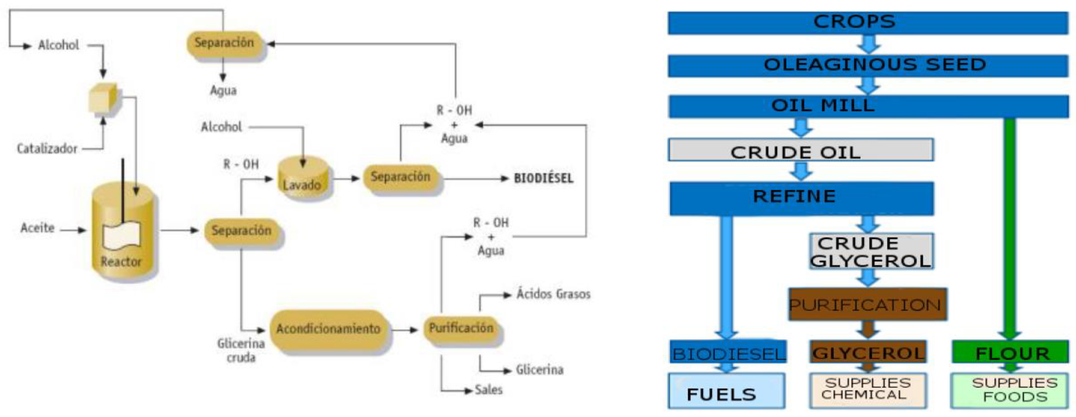 Proceedings 52 00002 g002