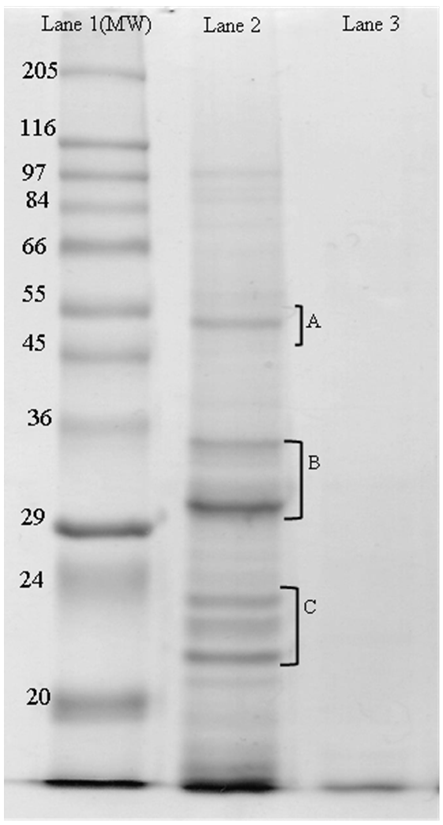 Proceedings 53 00012 g002