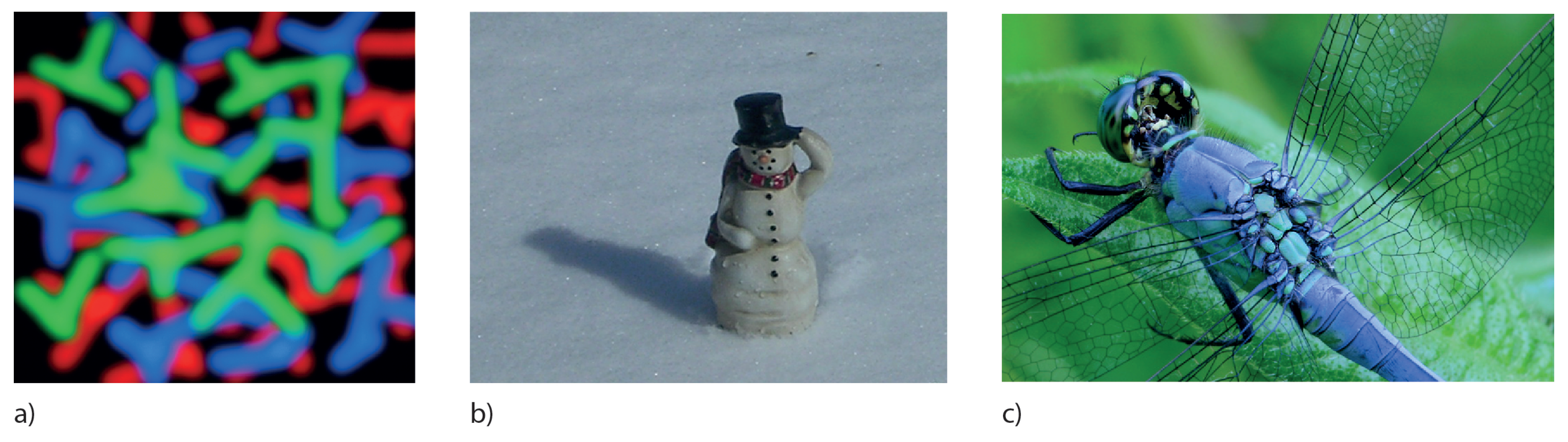 Proceedings 54 00015 g001