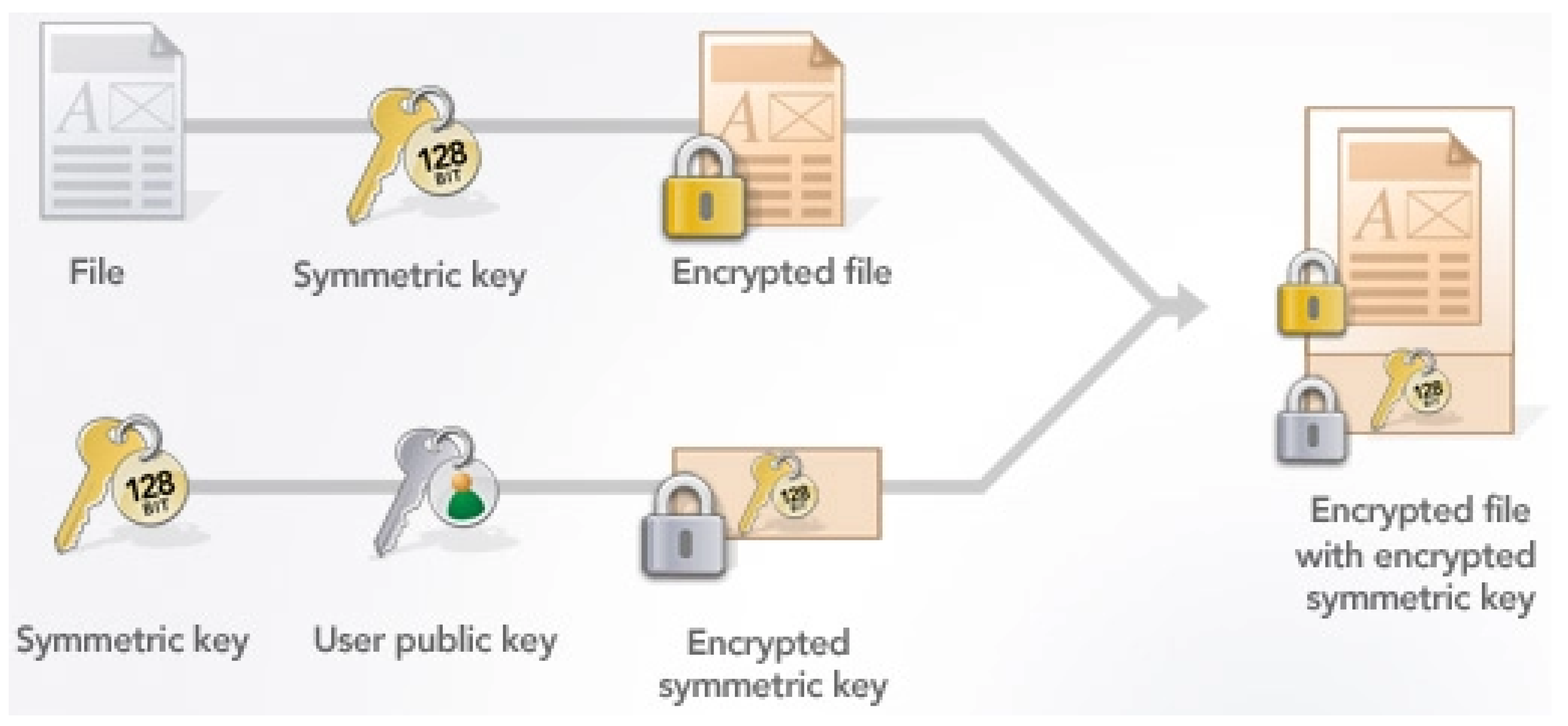Proceedings 54 00049 g001 550