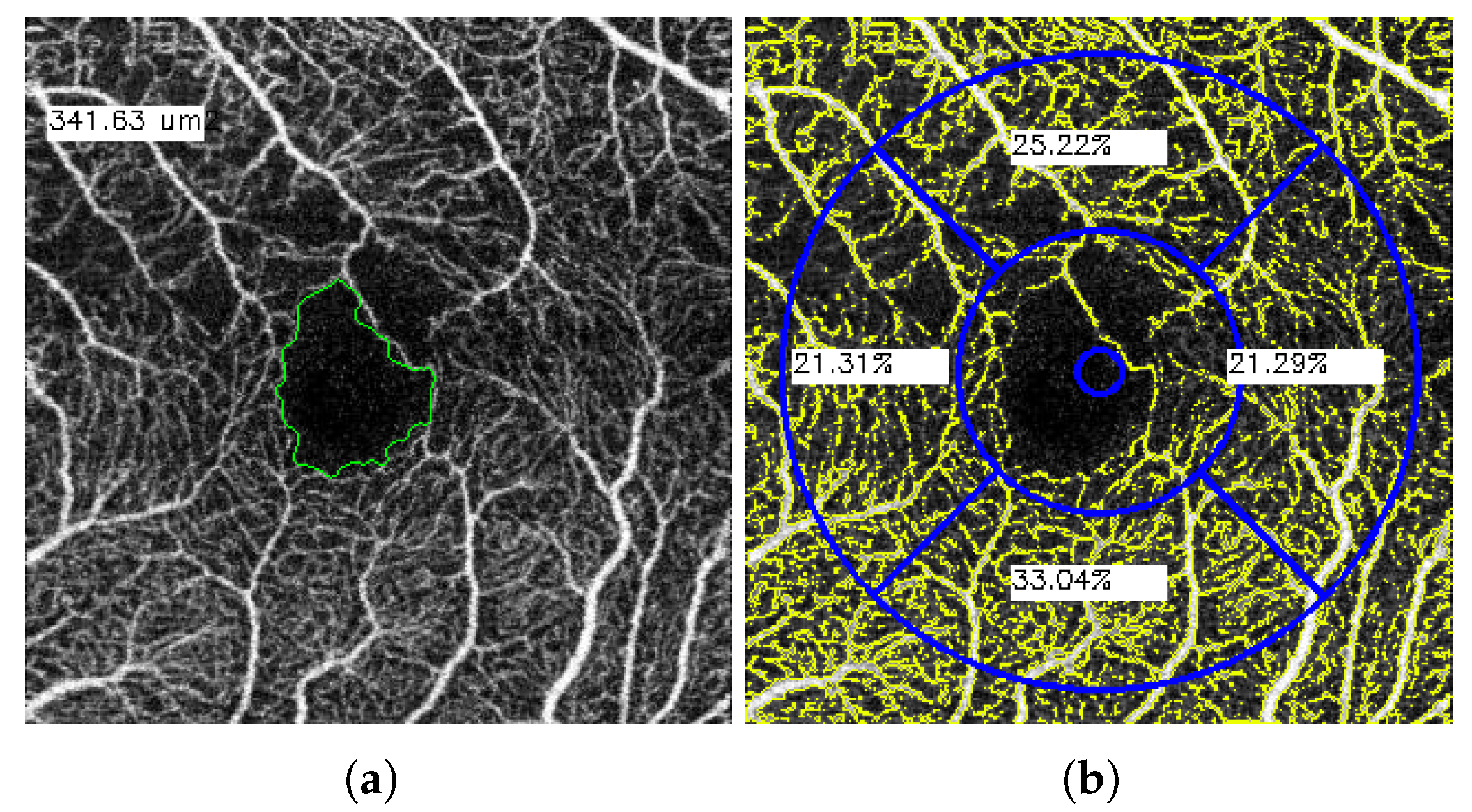 Proceedings 54 00057 g002