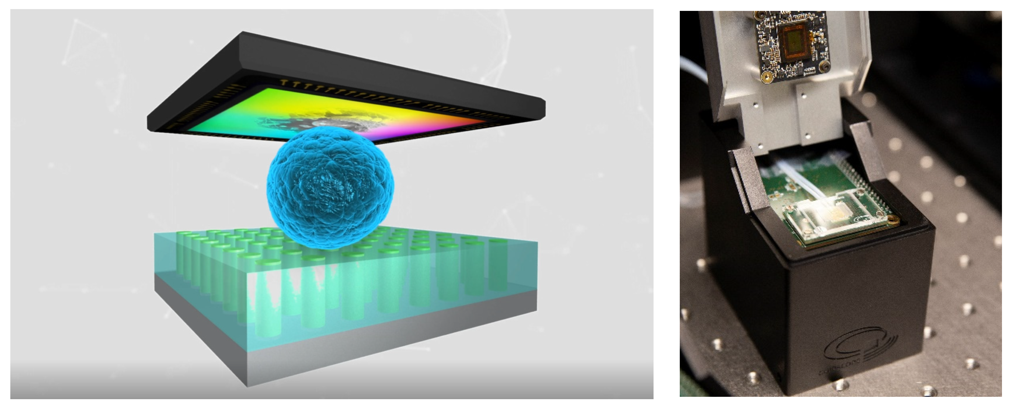 Proceedings 56 00005 g001 550