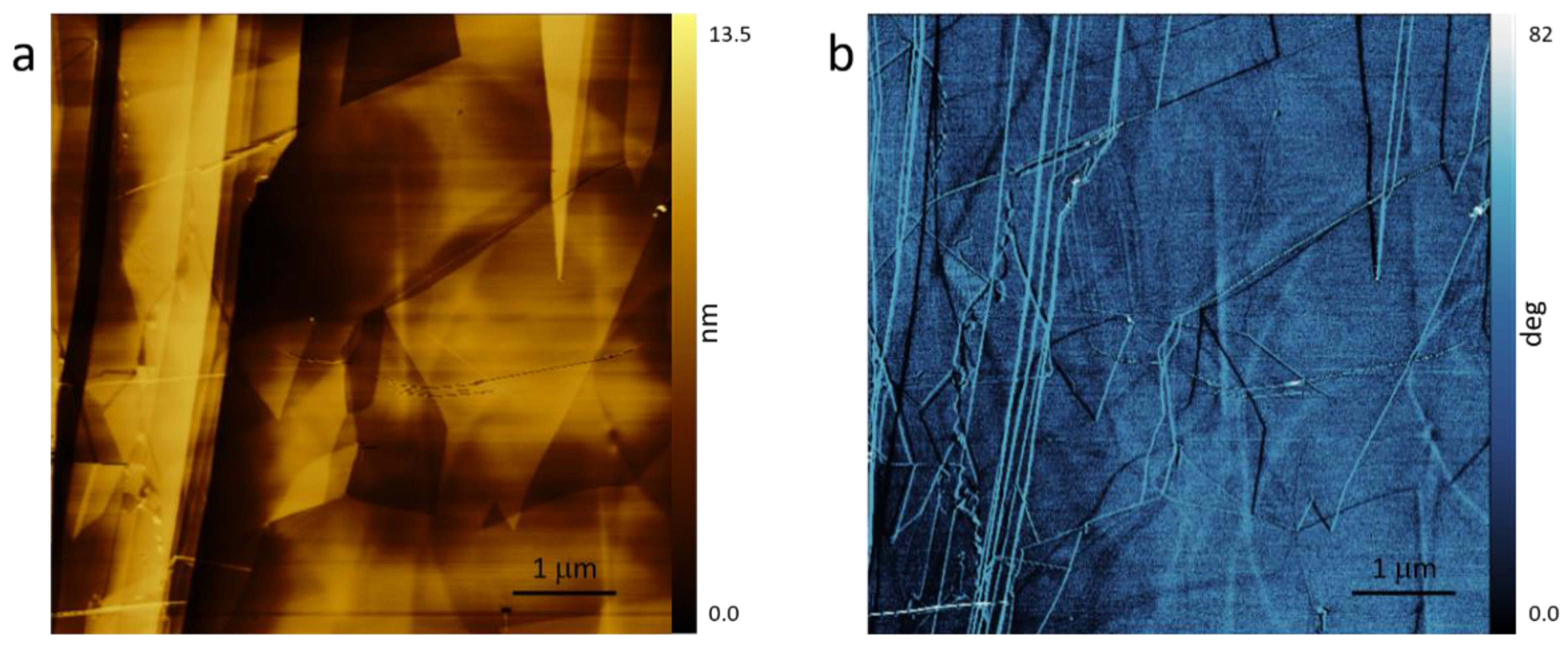 Proceedings 56 00044 g005