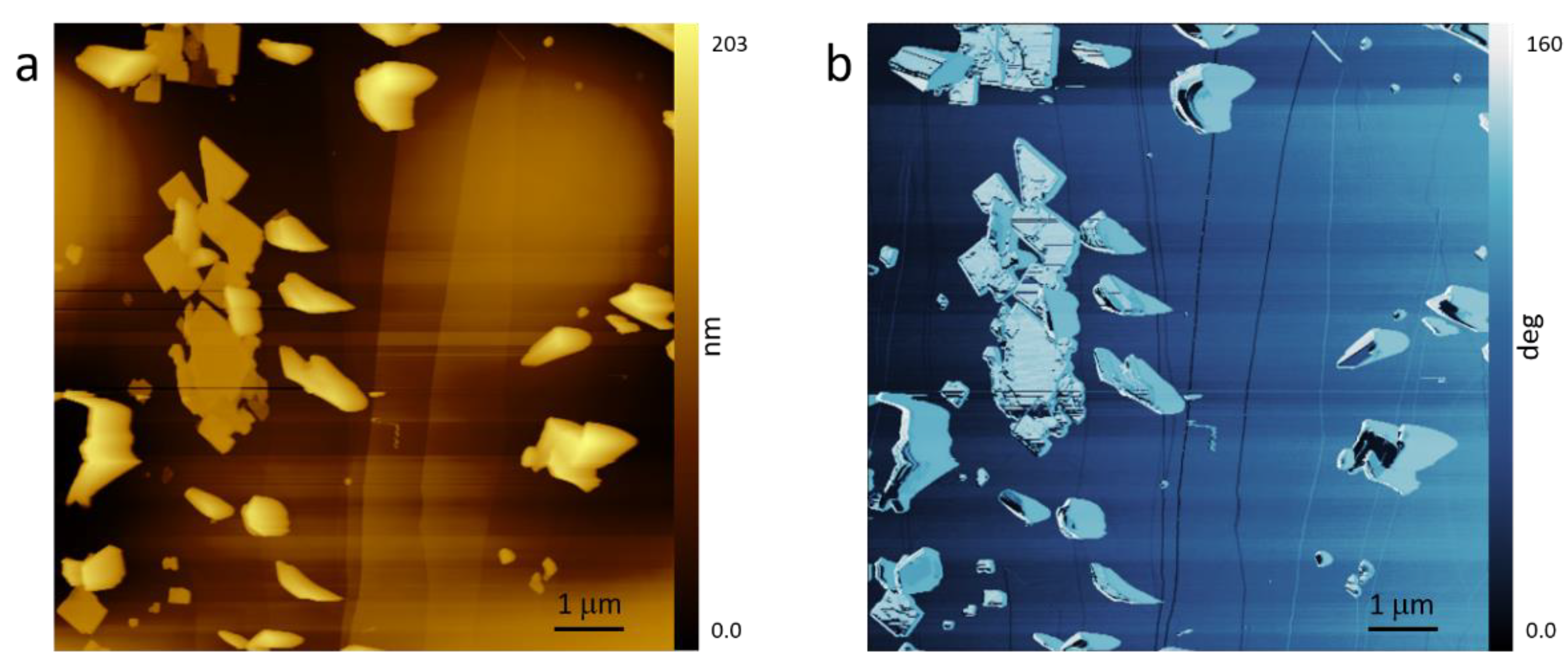 Proceedings 56 00044 g006