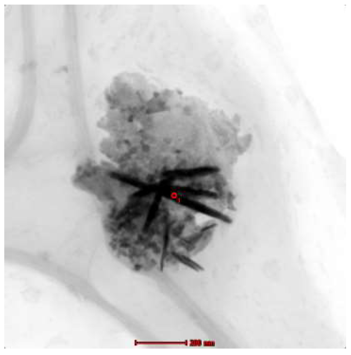 Proceedings 57 00039 g001