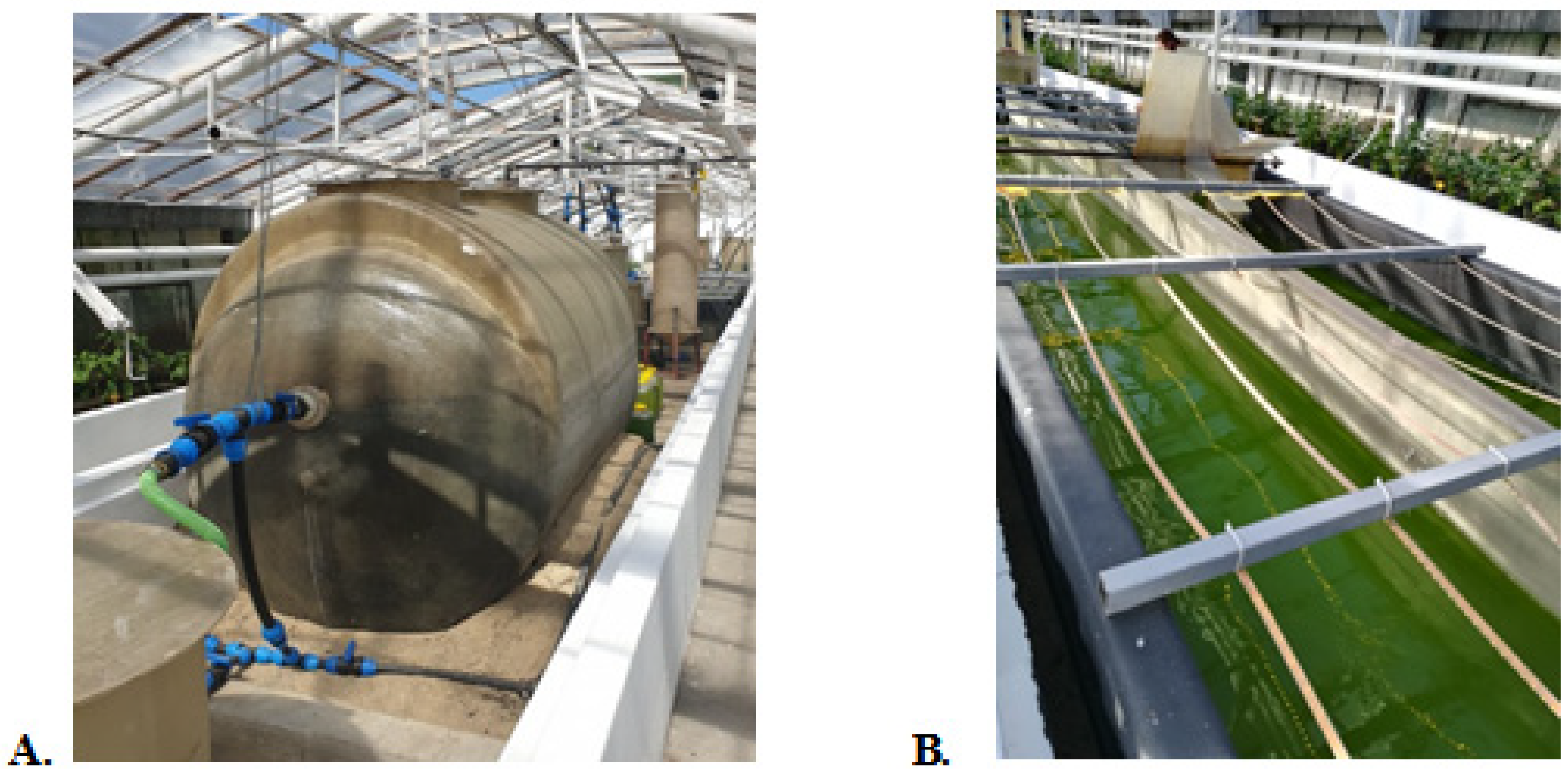 Proceedings 57 00046 g001