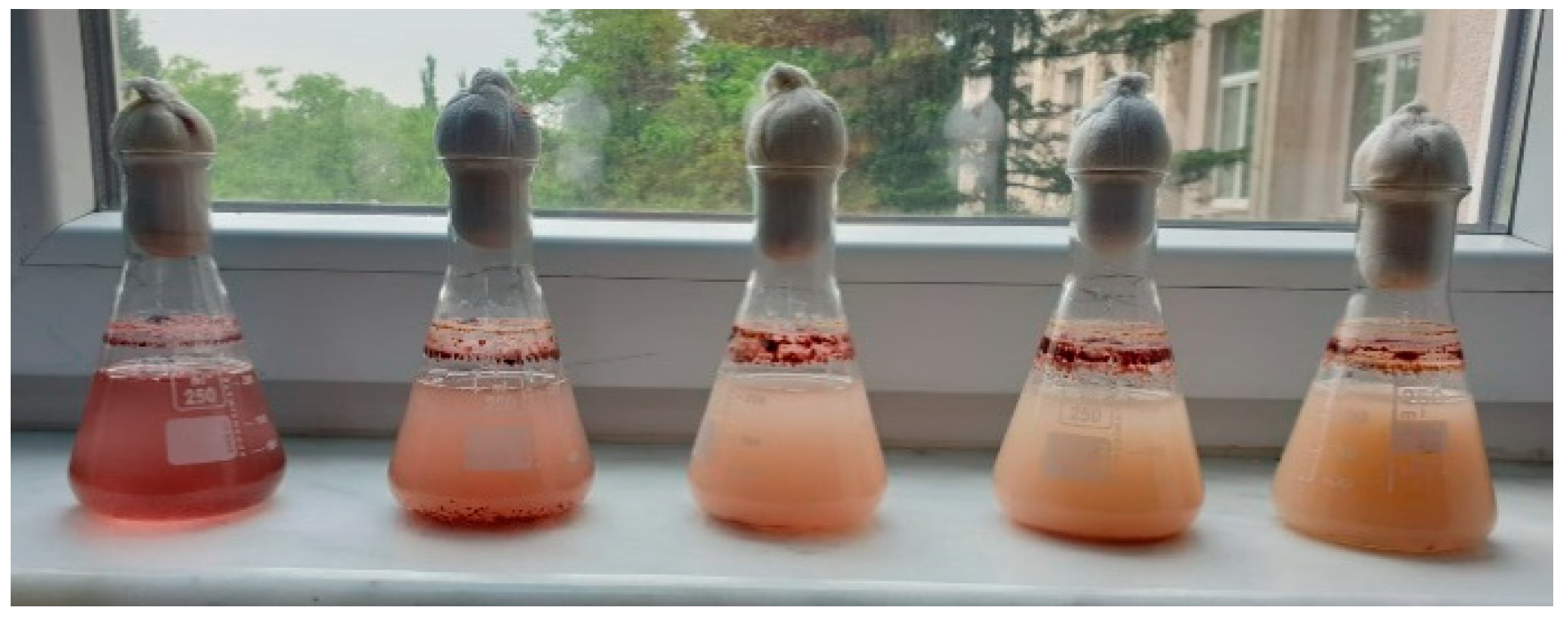 Proceedings 57 00049 g001 550