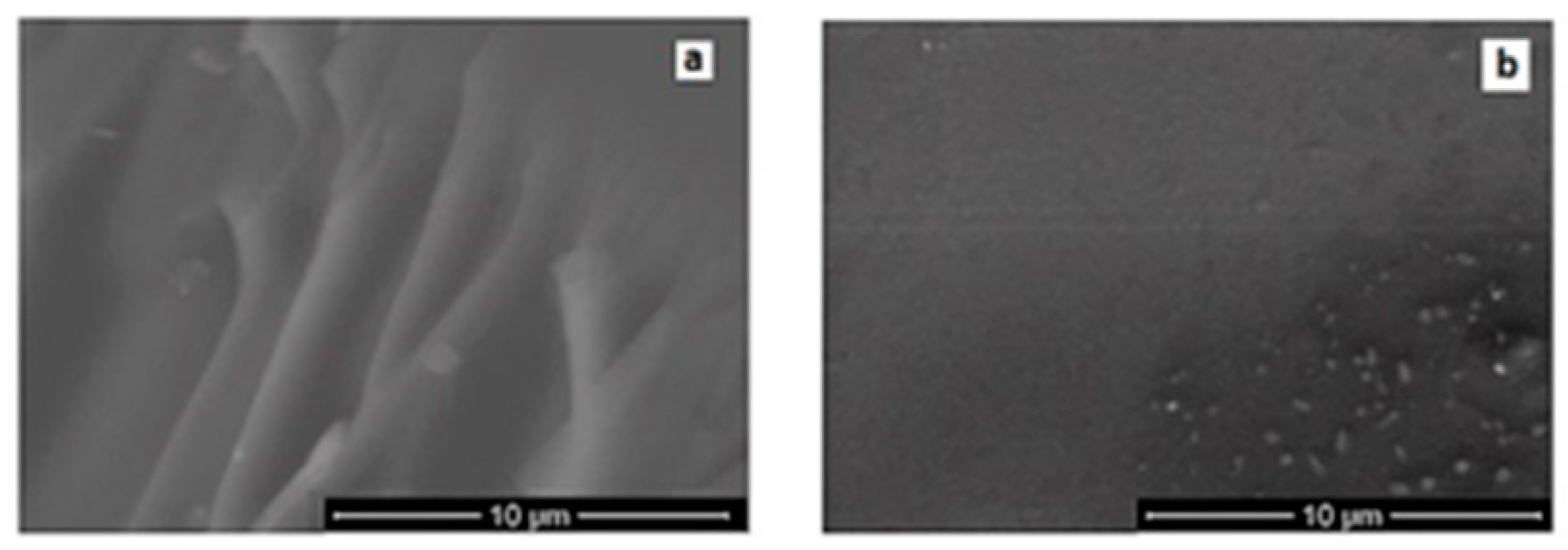 Proceedings 57 00055 g001 550