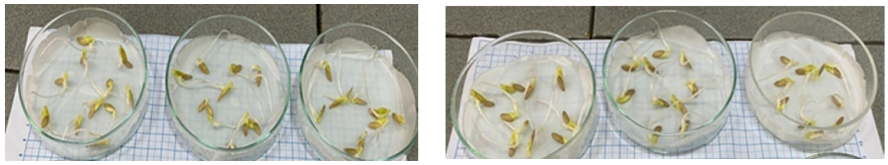 Proceedings 57 00079 g002 550